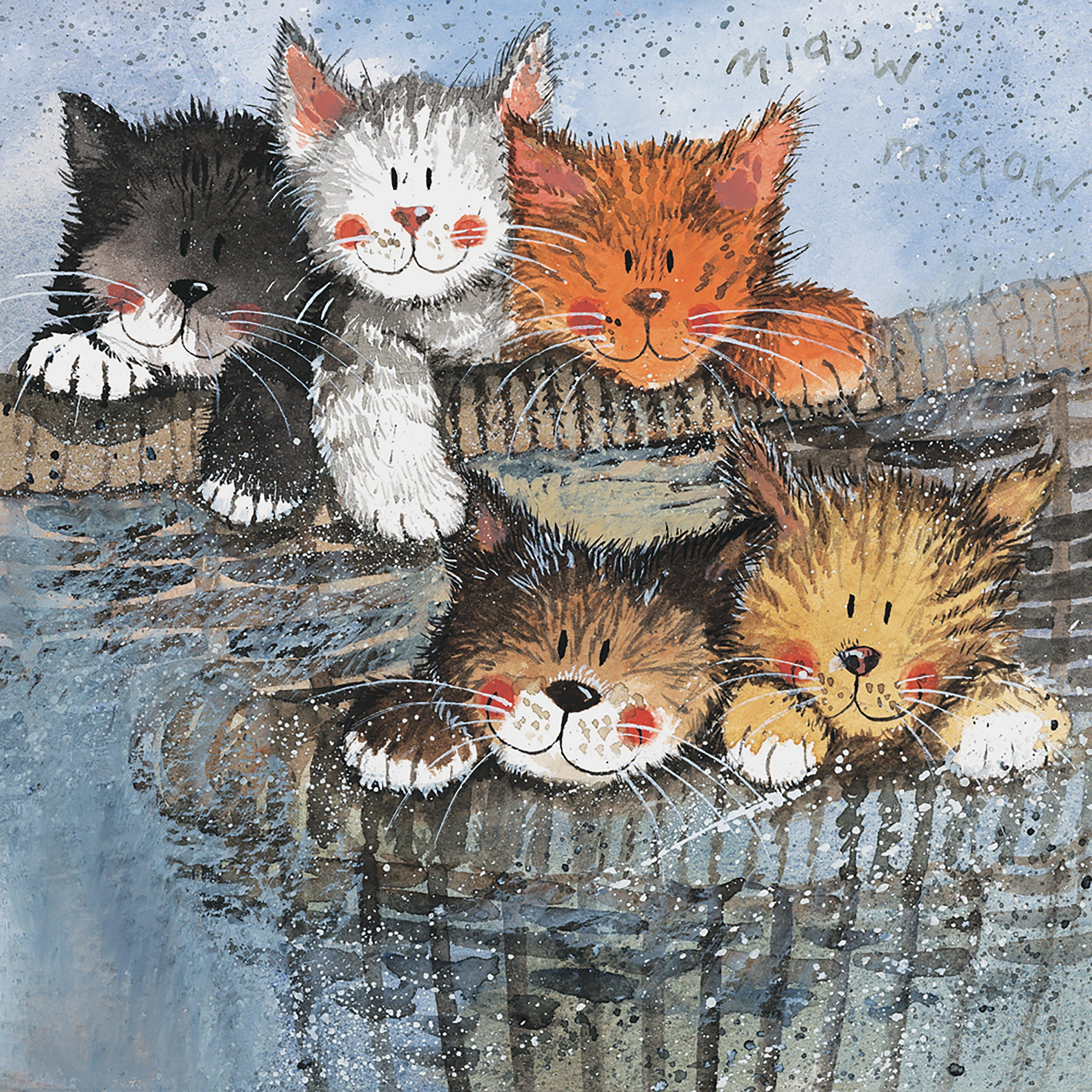 Blank Card Kittens
