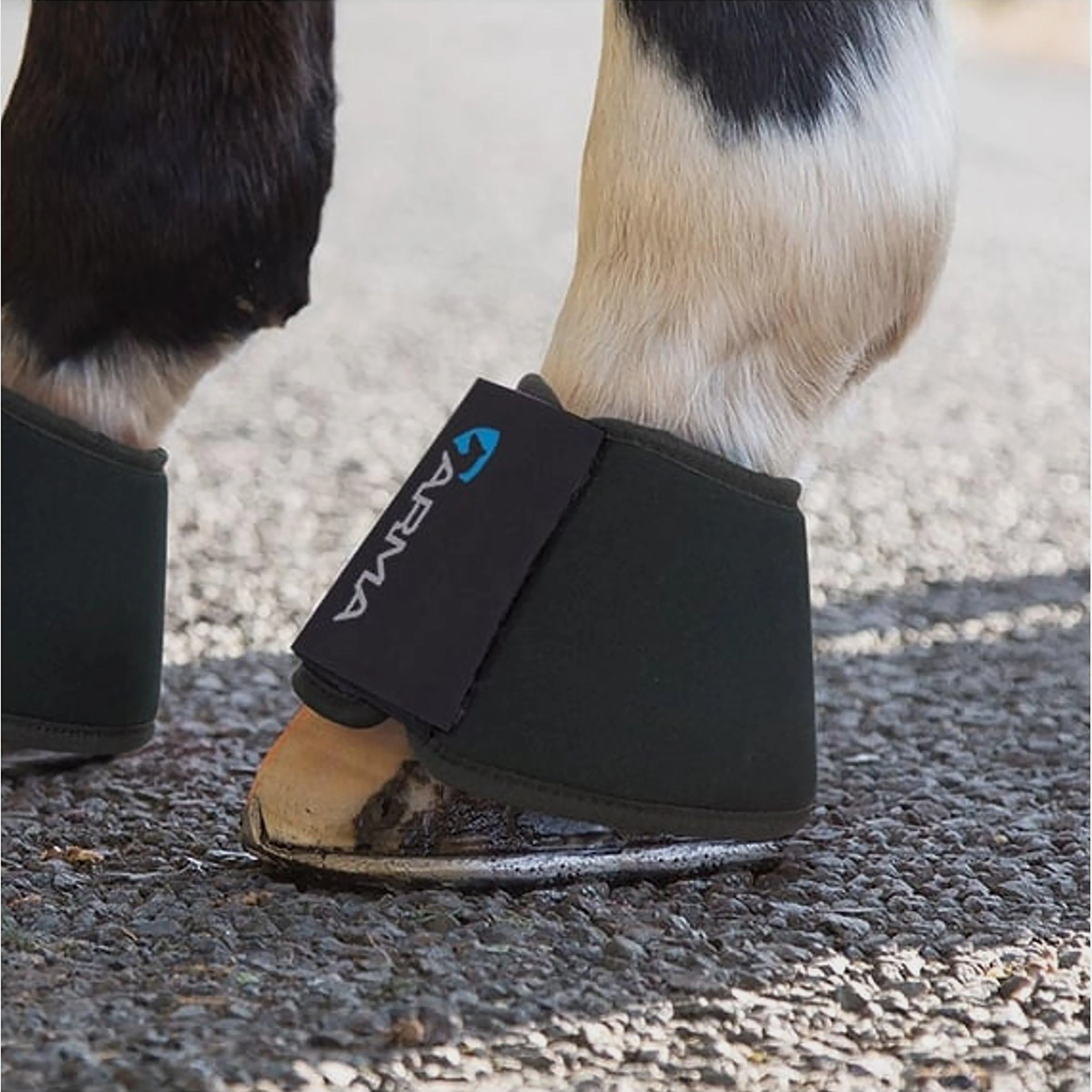 Neoprene Over Reach Boots Black - Image 2