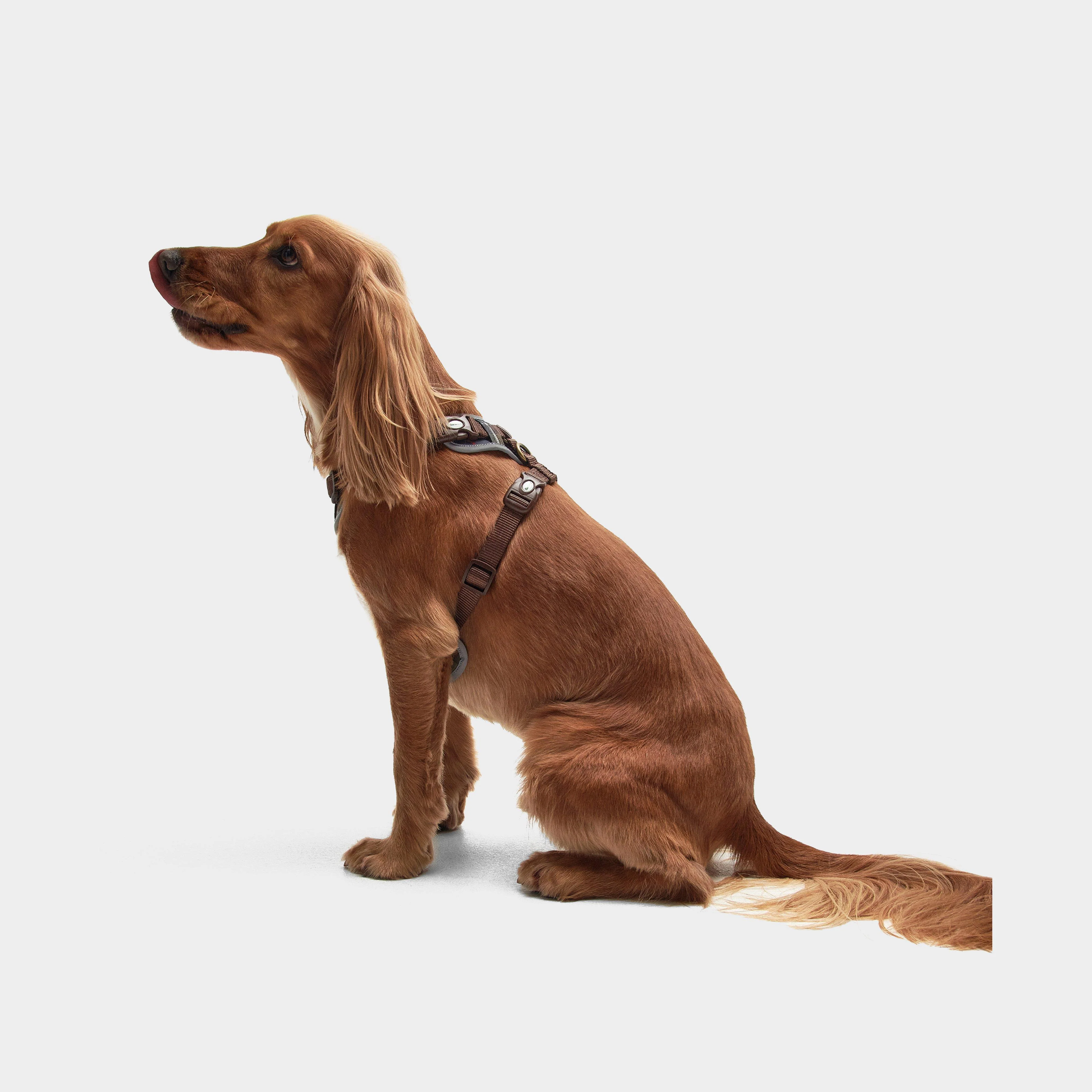 Adjustable Dog Tartan Harness Classic Tartan - Image 8