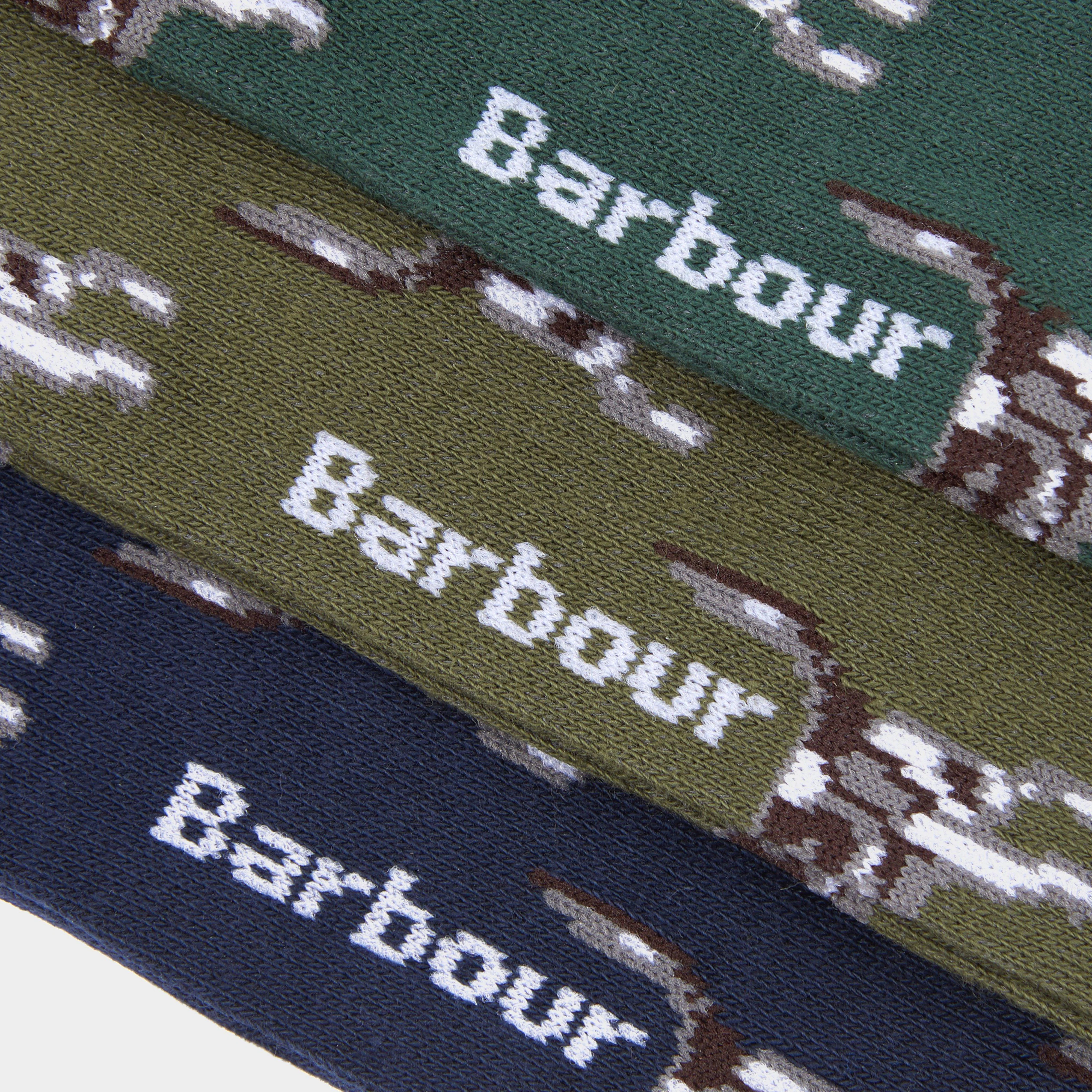 Mens Pointer Dog Socks Gift Box Blue/Green - Image 3
