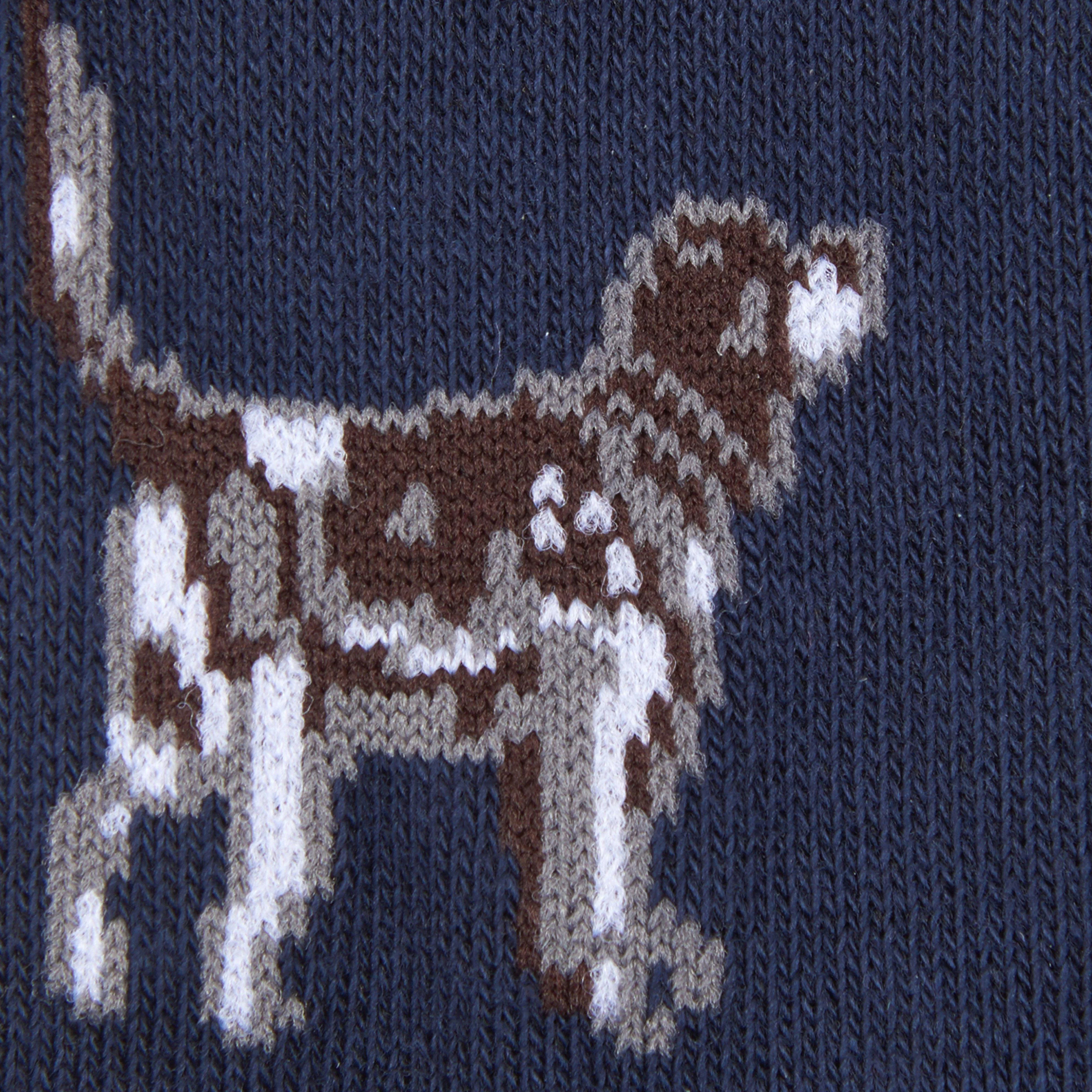 Mens Pointer Dog Socks Gift Box Blue/Green - Image 4