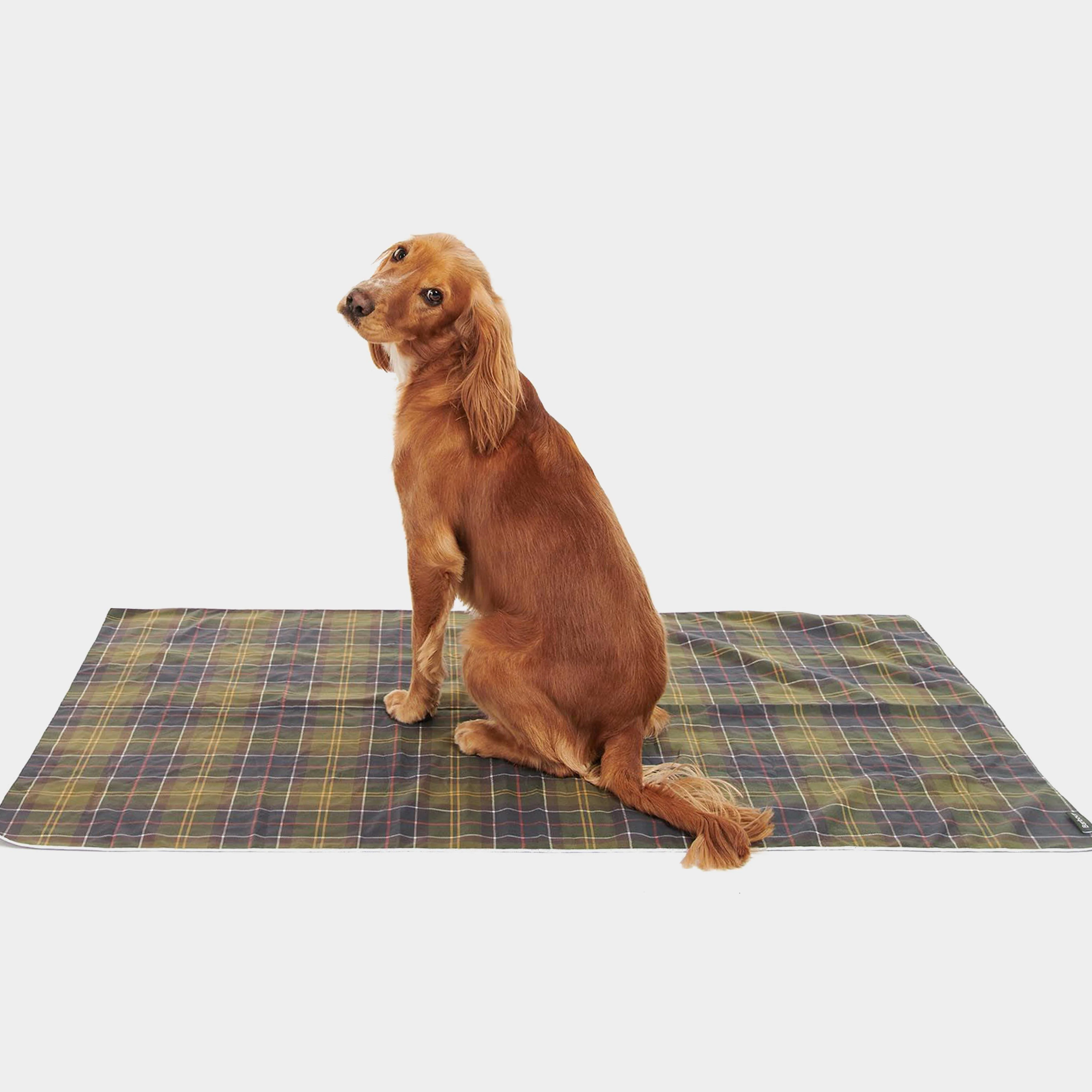 Tartan Quick Drying Dog Towel Classic Tartan. - Image 2