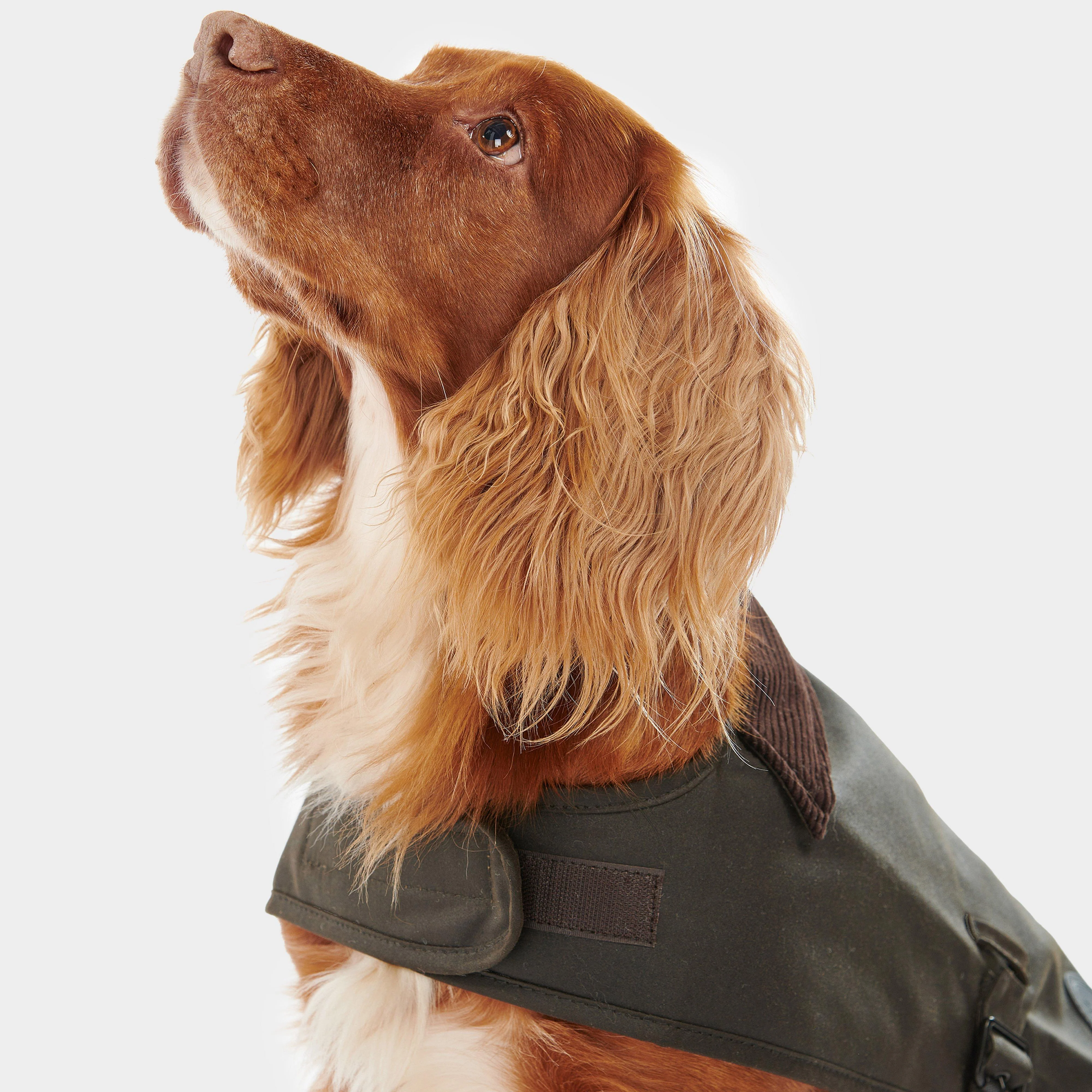 Wax Dog Coat Olive - Image 8