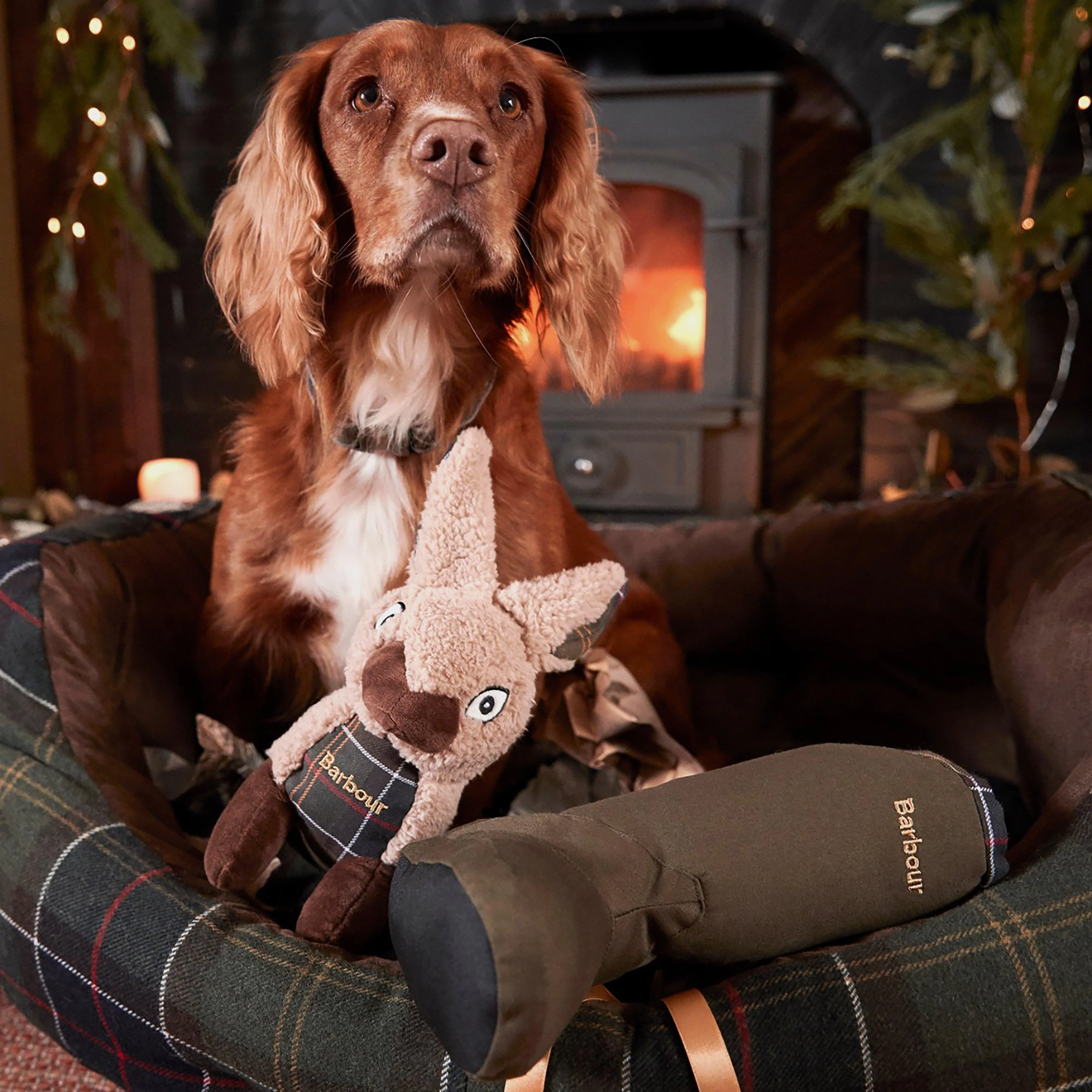 Welly Boot Dog Toy Green - Image 6