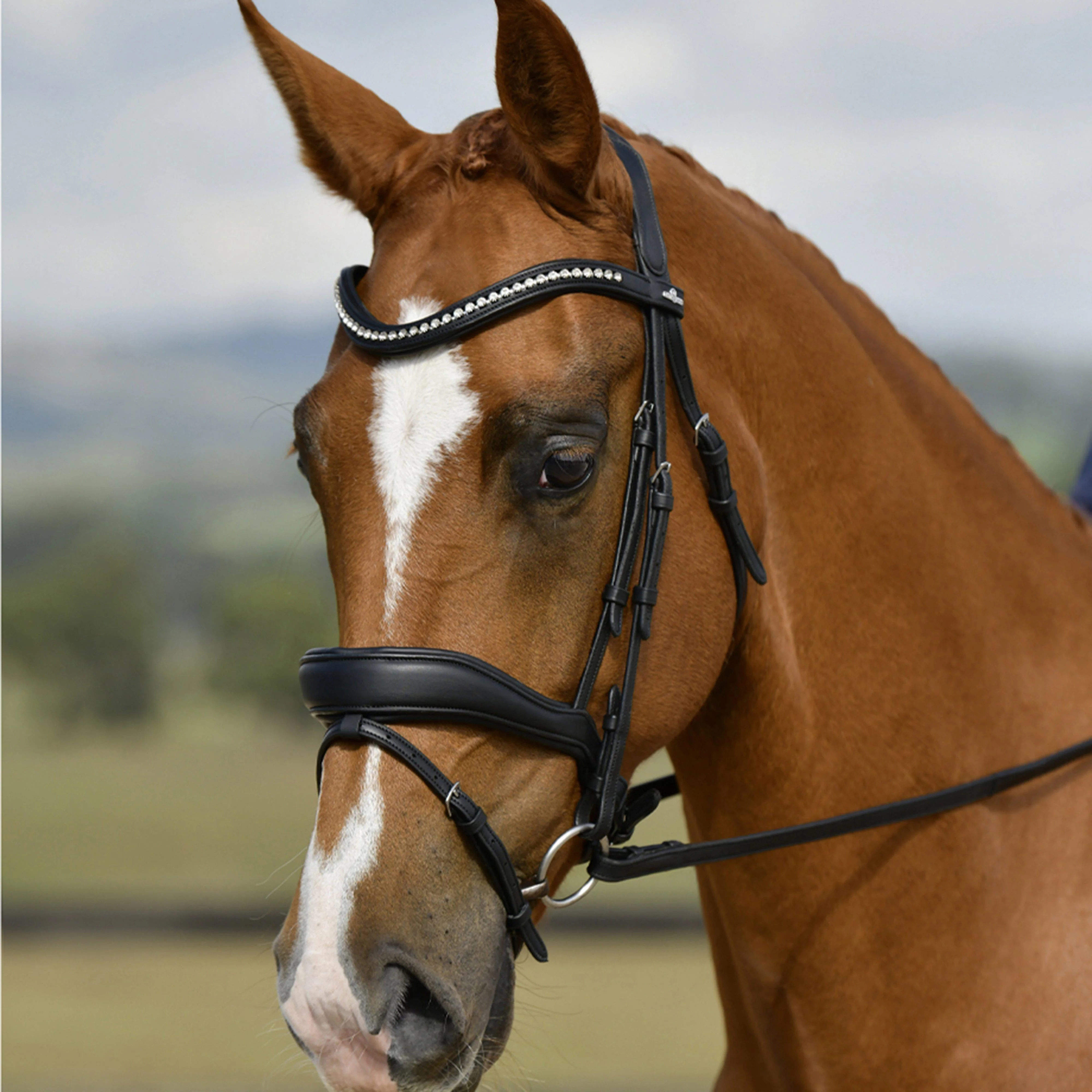 ComfiTec Softy Padded Dressage Bridle - Image 2