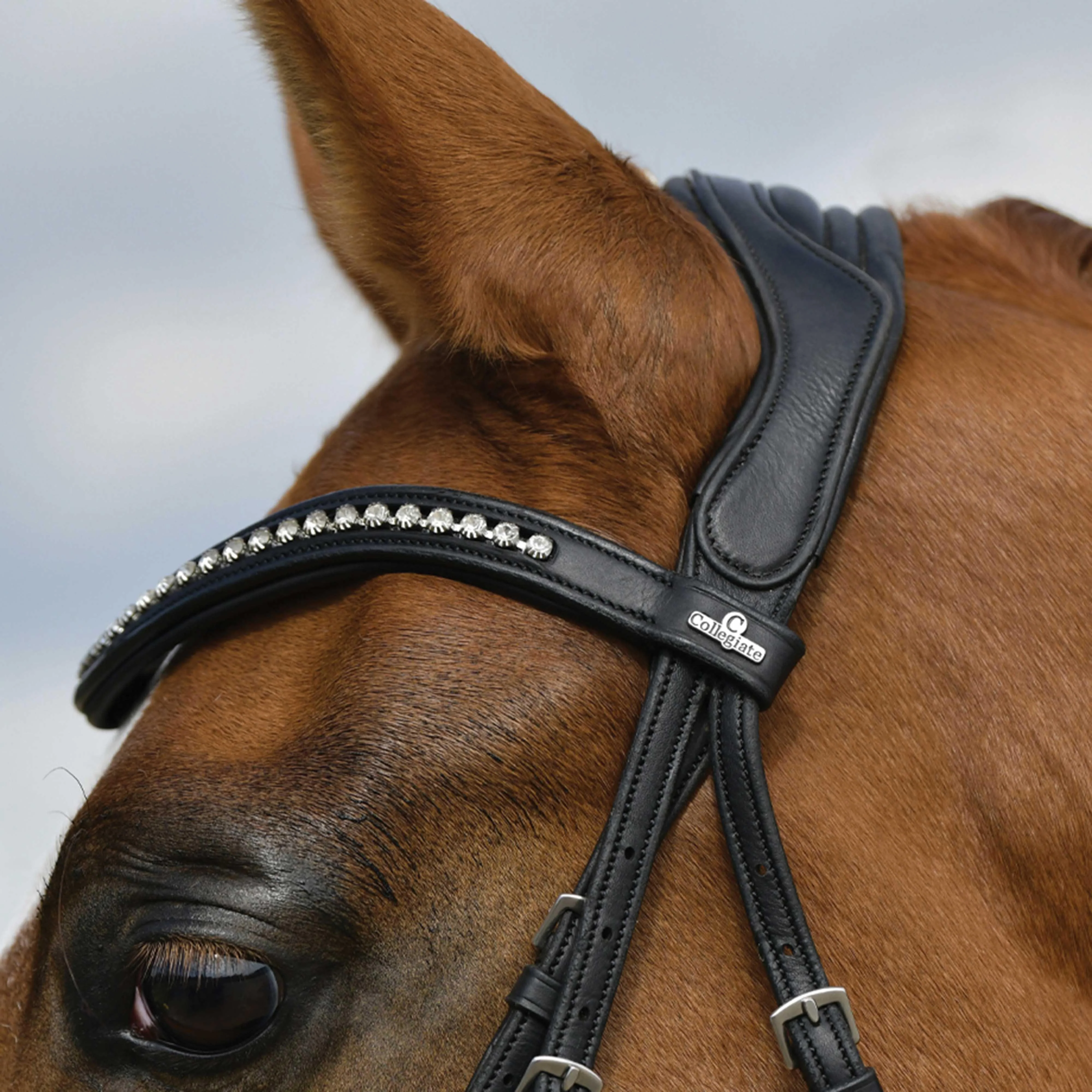 ComfiTec Softy Padded Dressage Bridle - Image 3