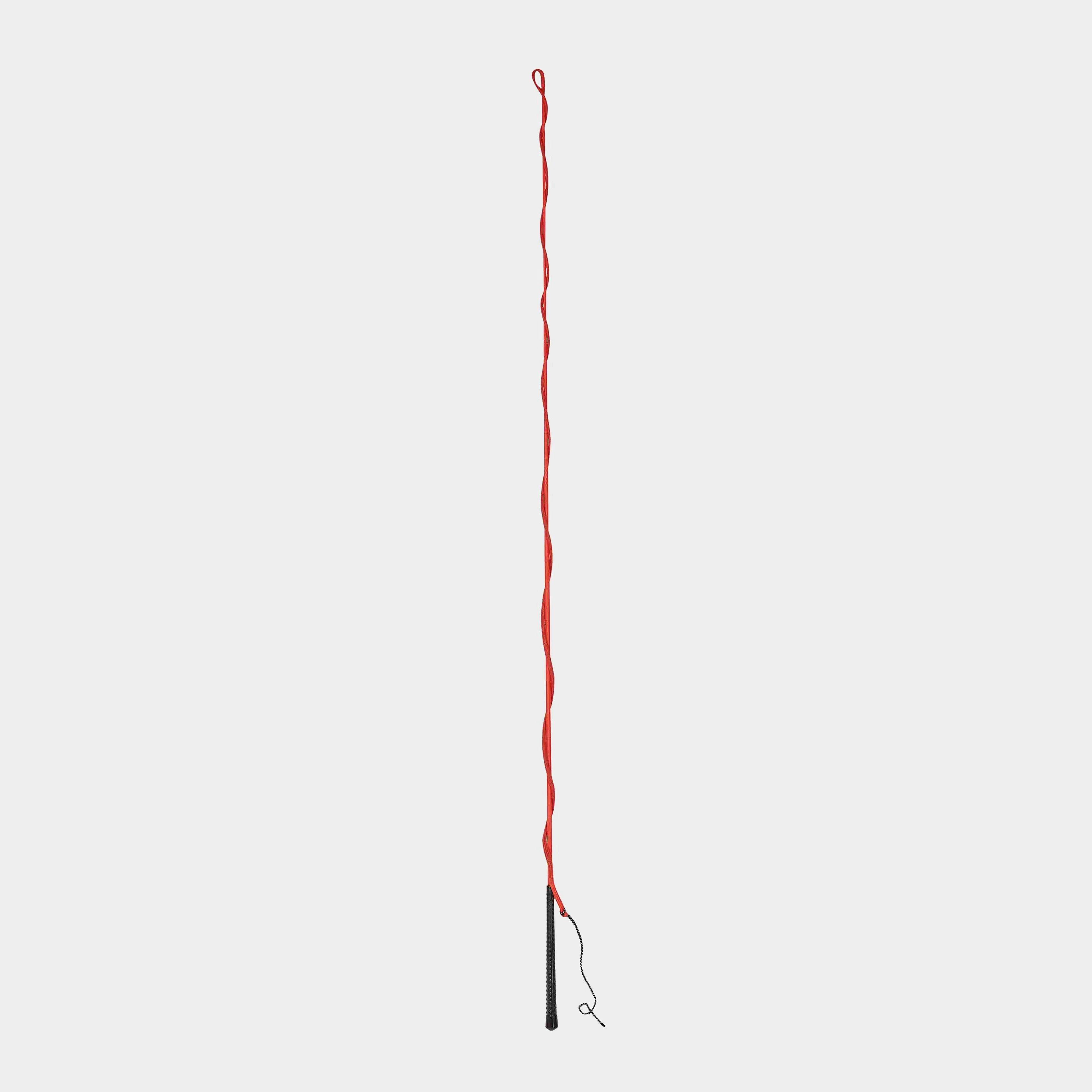 Lunge Whip | Red