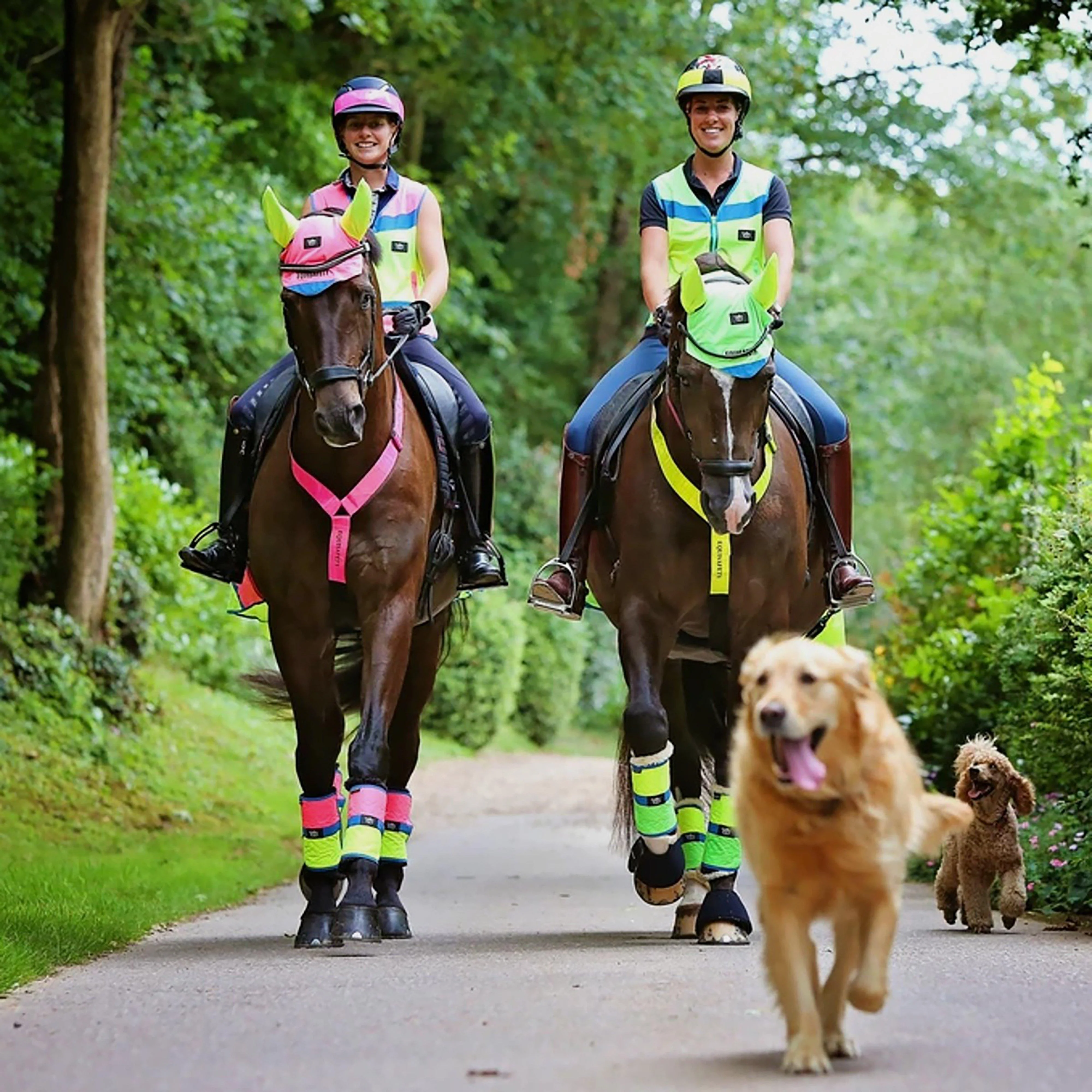 Charlotte Dujardin Multi-Coloured Horse Boots Pink/Yellow - Image 3