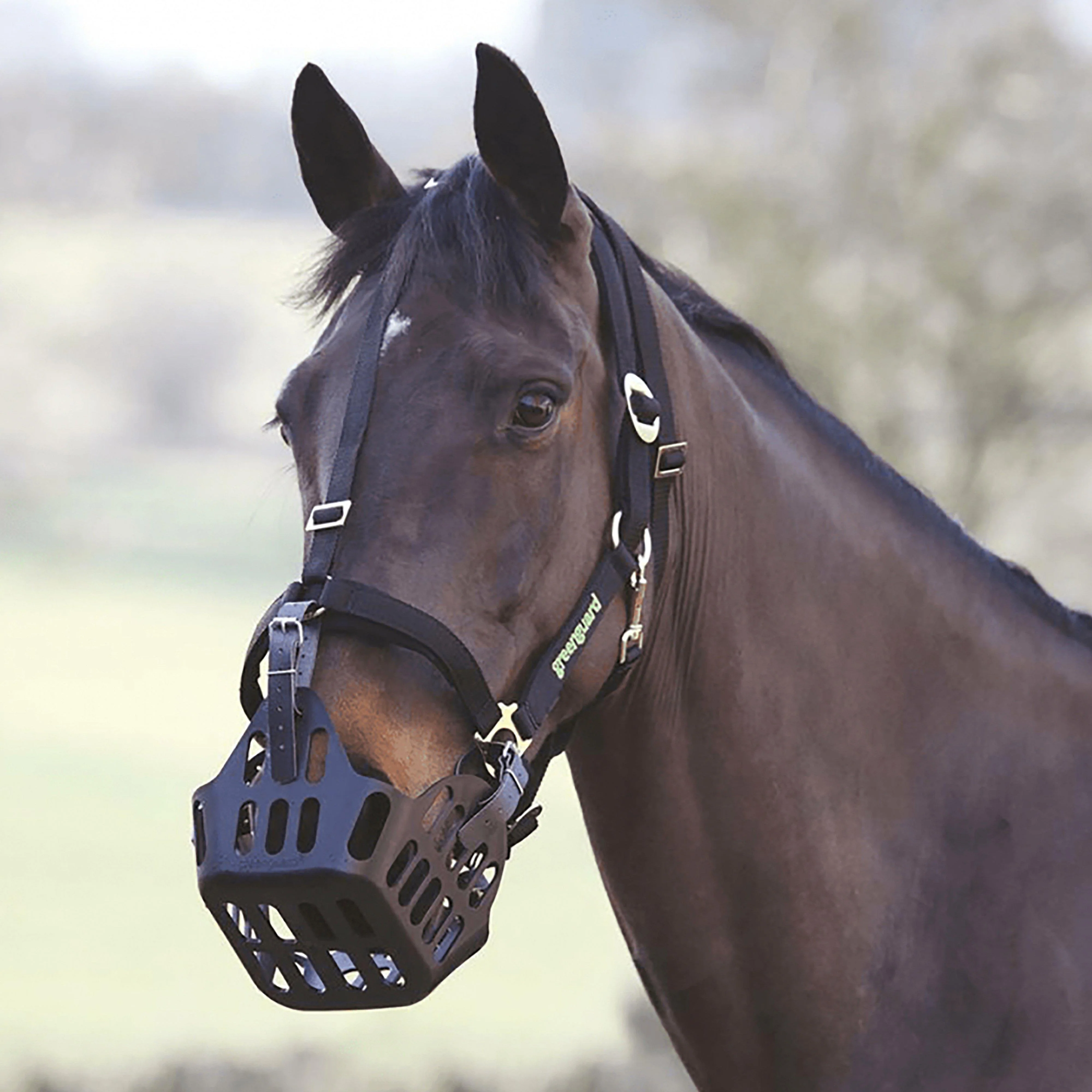 Grazing Muzzle Black - Image 5