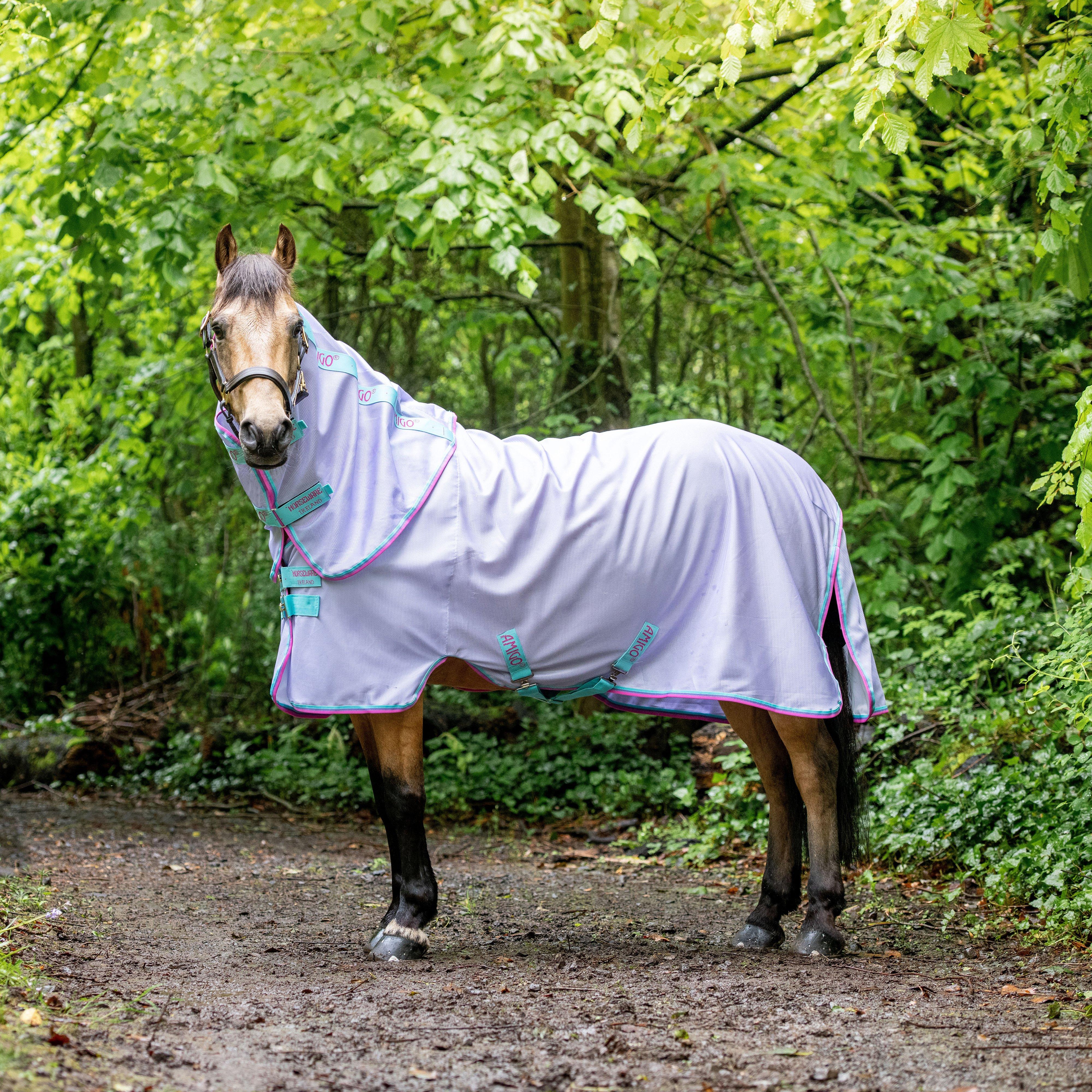 Amigo® Bug Rug Fly Sheet Lavender/ Capri & Raspberry & Purple - Image 2