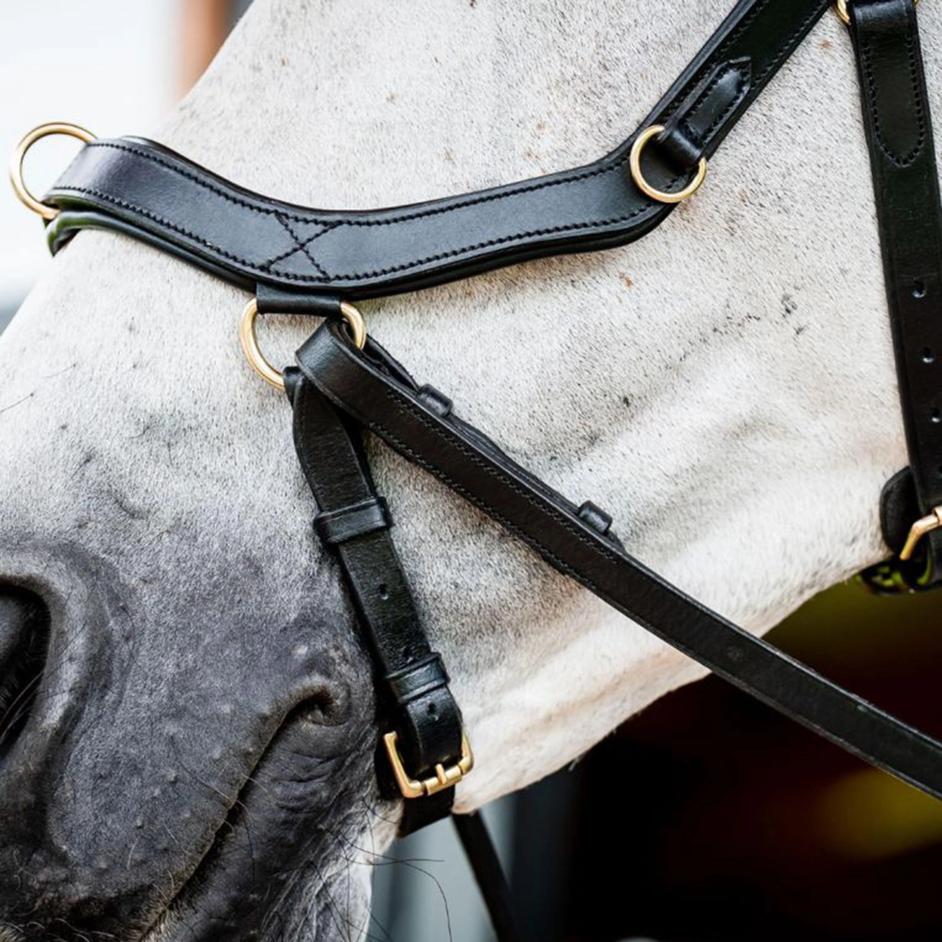 Micklem® 2 Multi Bridle Black - Image 3