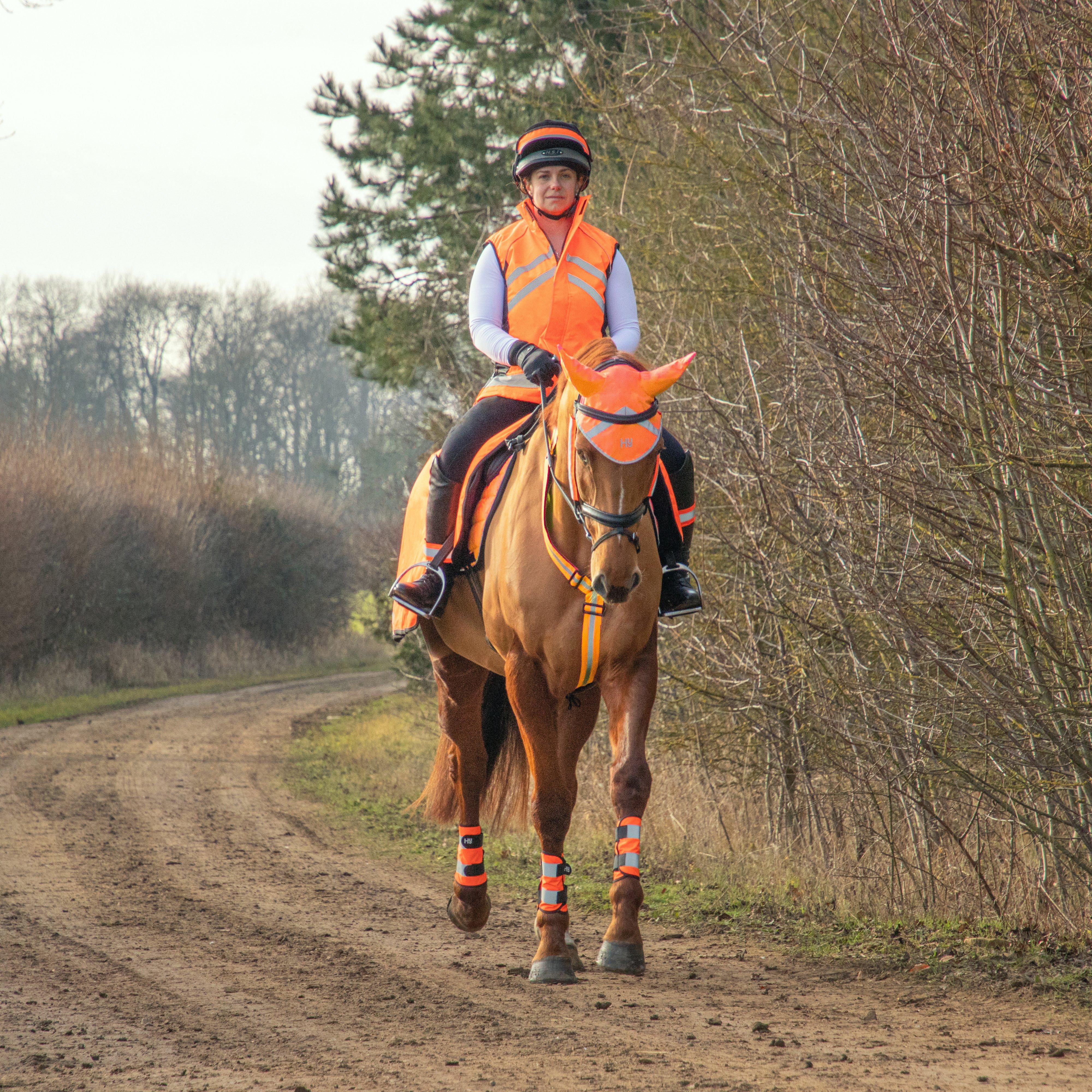HyVIZ Bridle Set Orange - Image 7