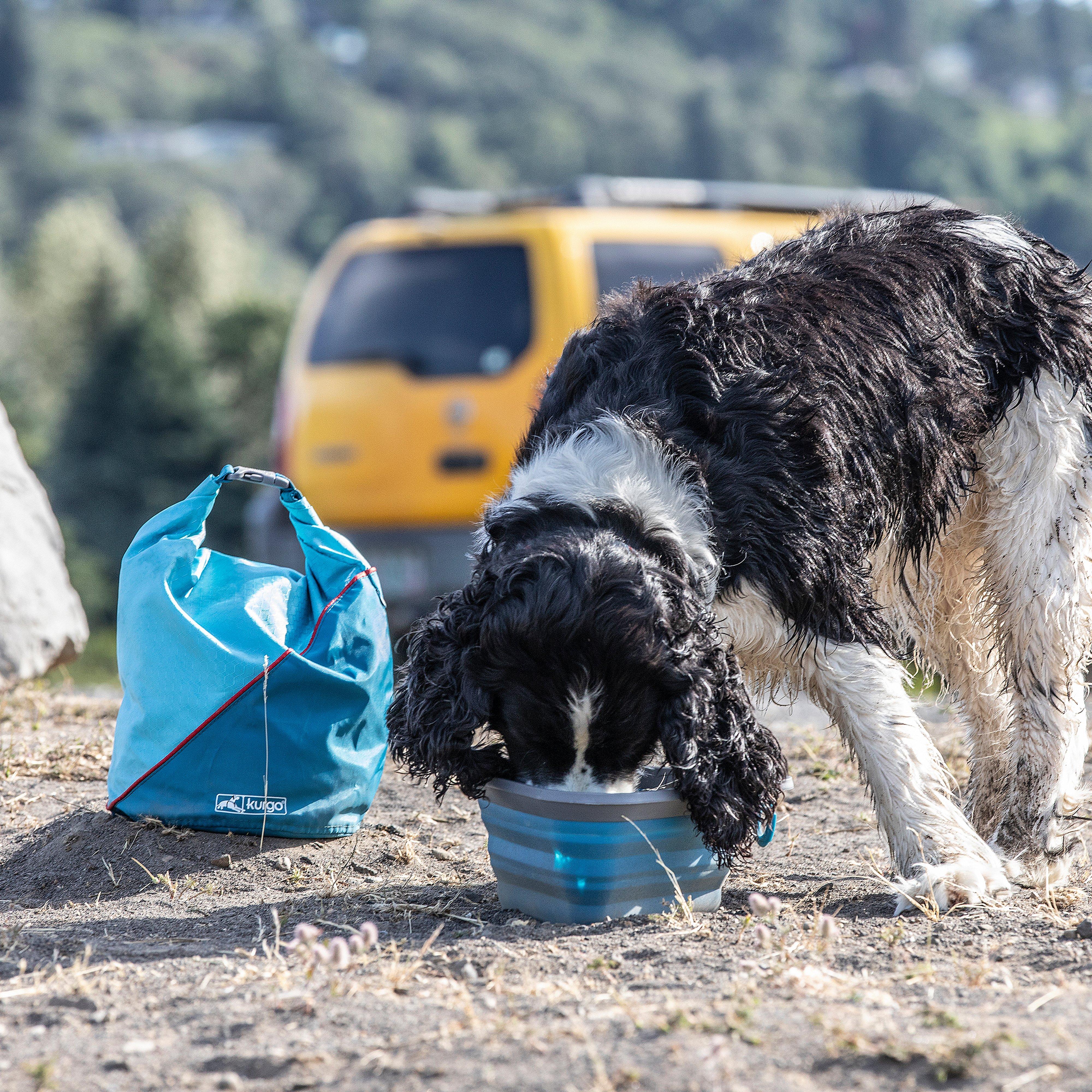 Kibble Carrier Blue - Image 2