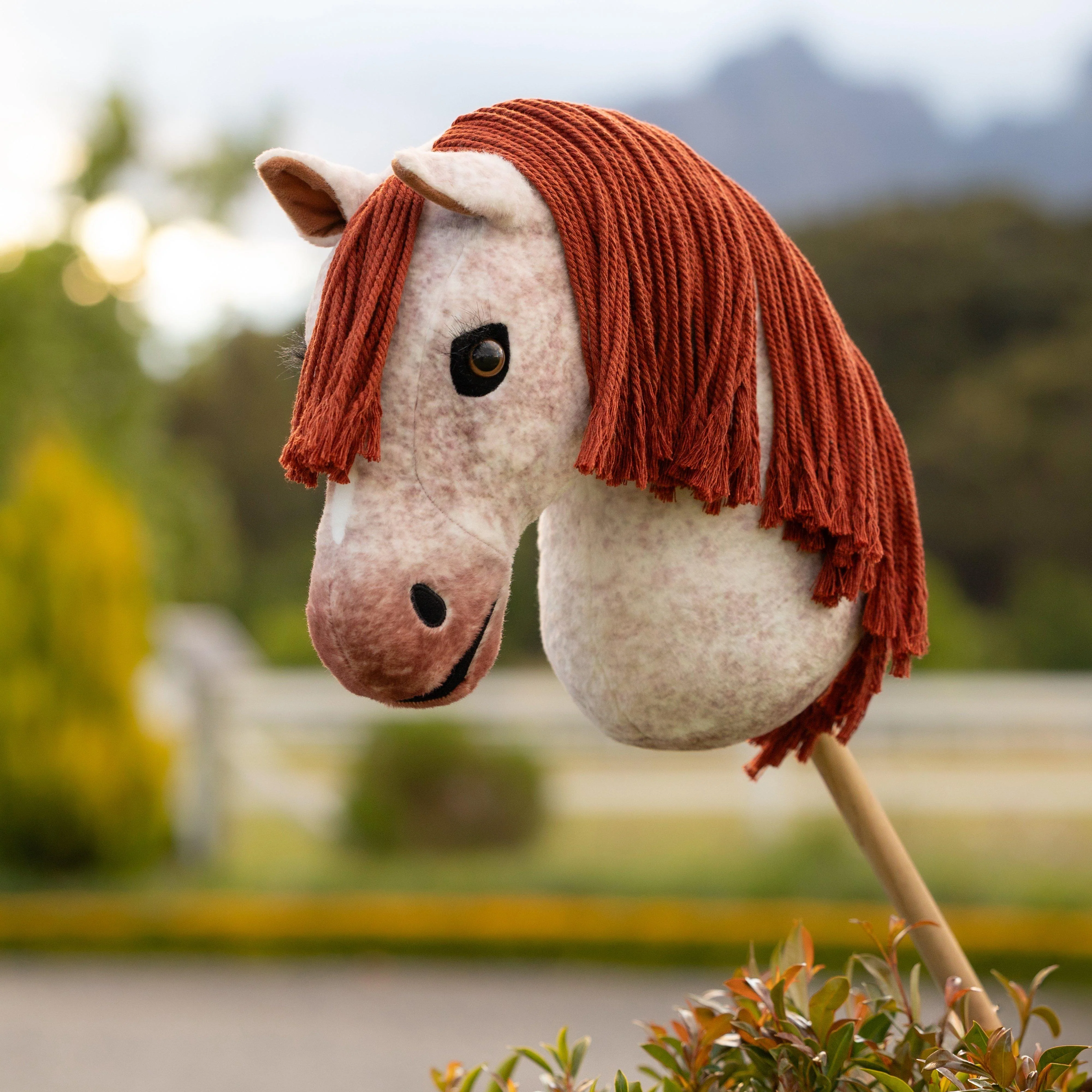 Hobby Horse Poppy