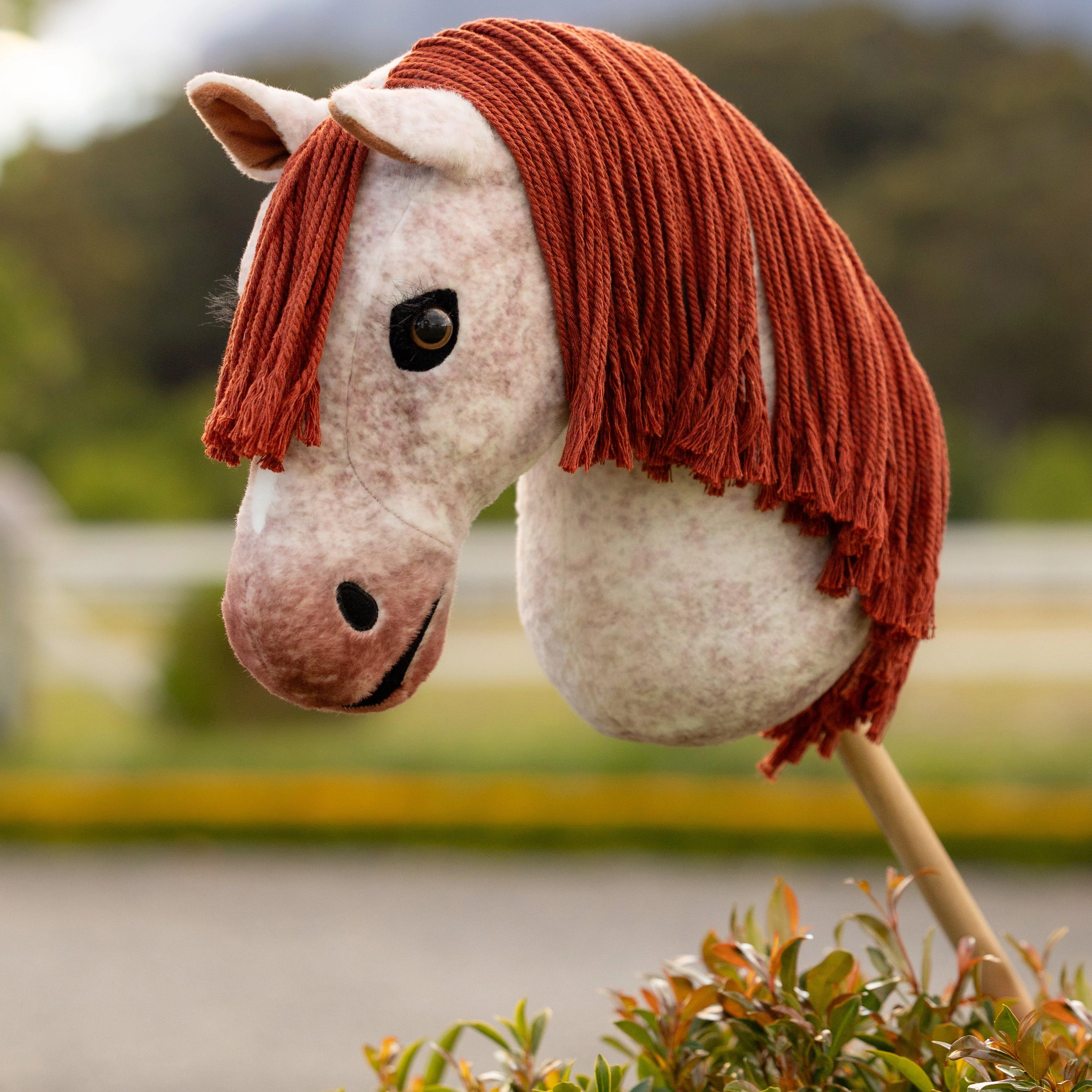 Hobby Horse Poppy - Image 2