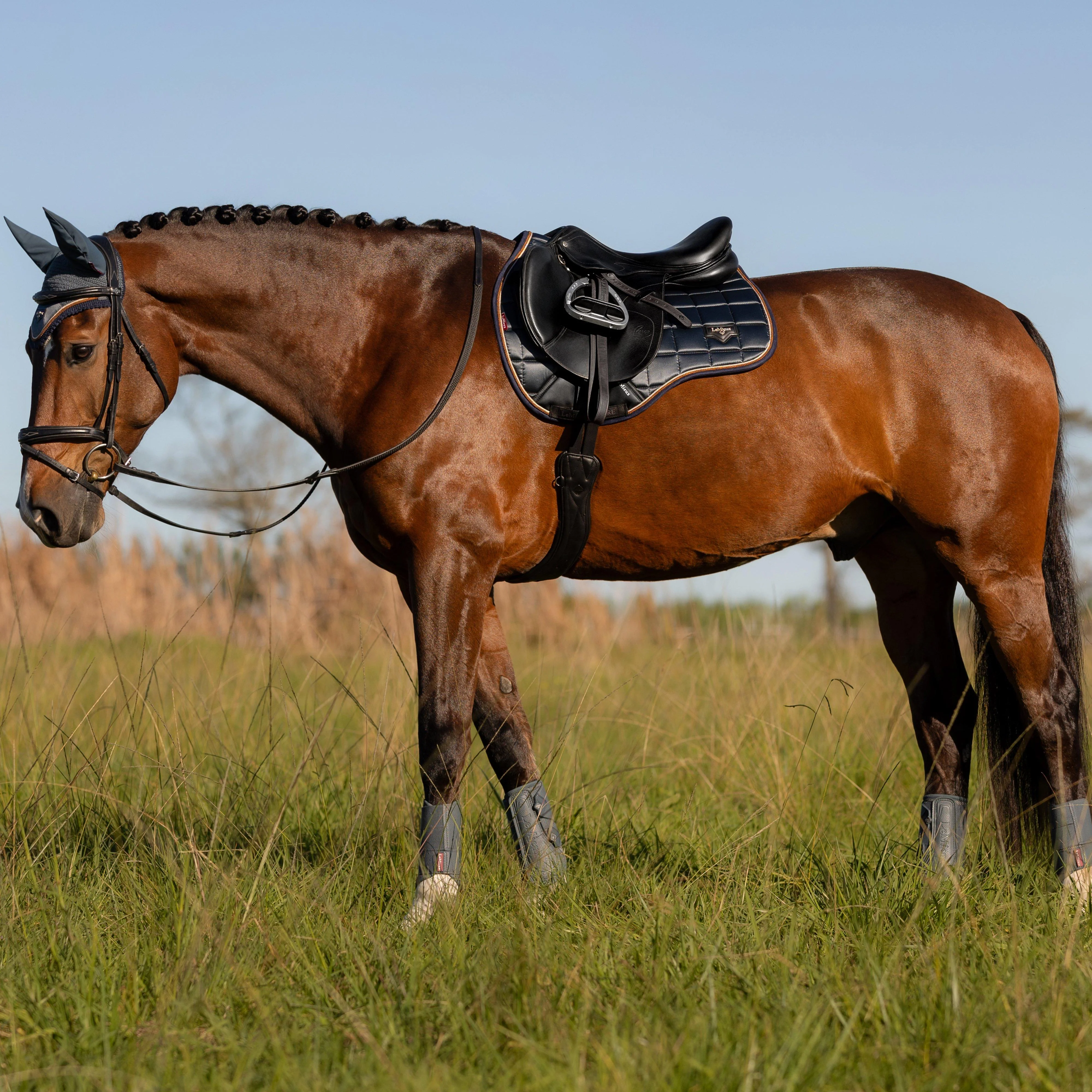 Loire Classic GP Square Saddle Pad Petrol - Image 2