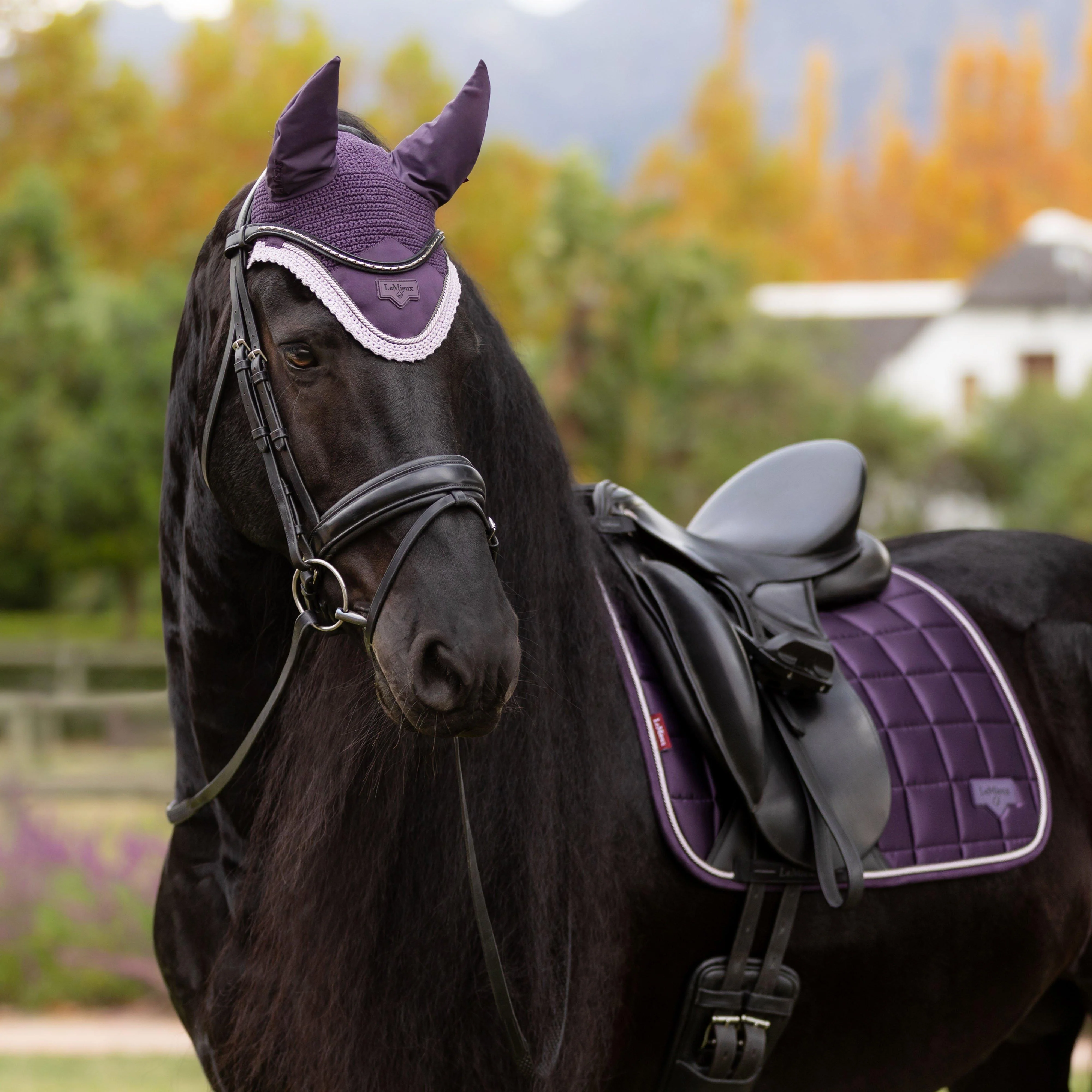 Loire Dressage Saddle Pad Juniper - Image 3