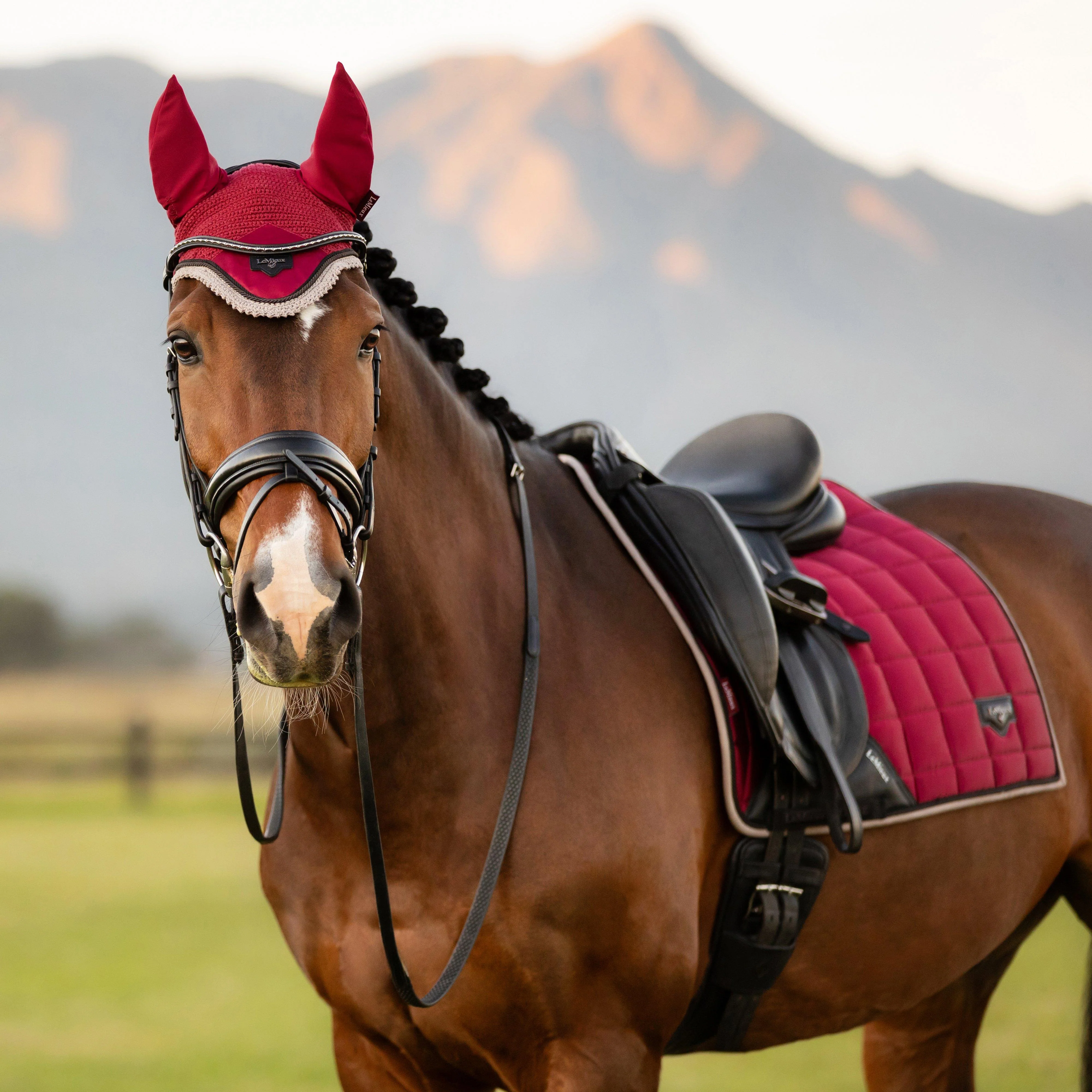 Loire Fly Hood Ember - Image 4