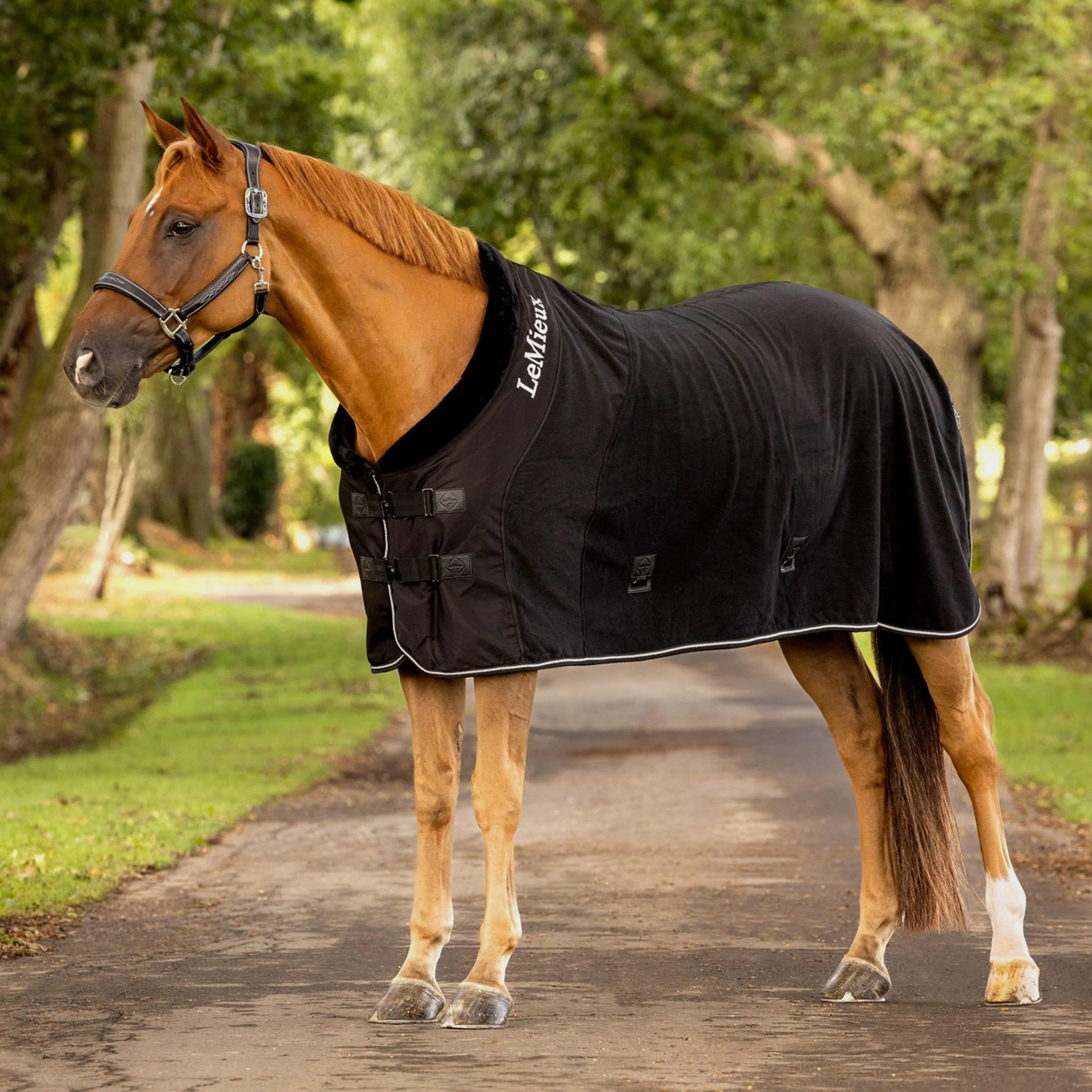 Luxe Fleece Rug Black - Image 3