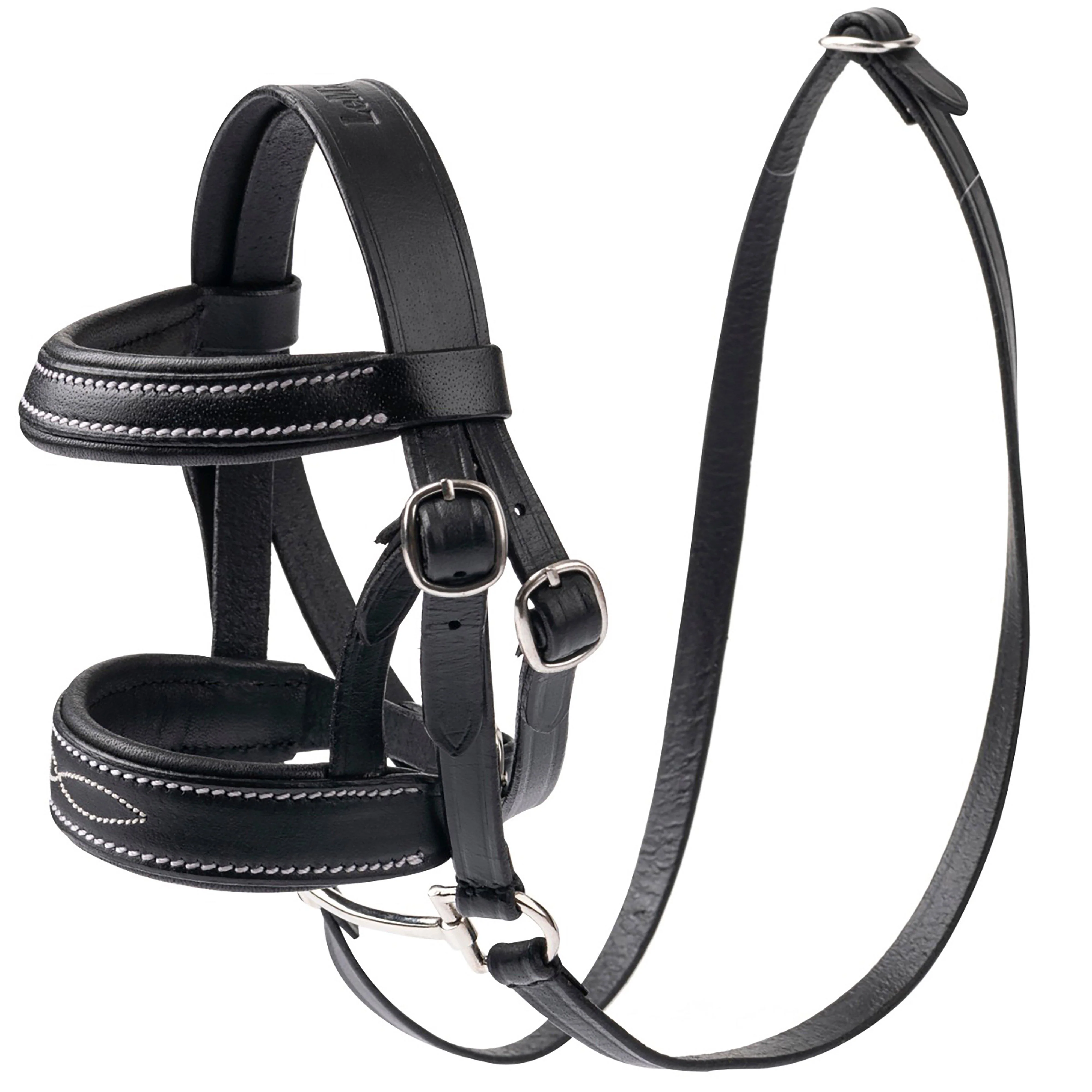 Mini LeMieux Pony Bridle Black - Image 9