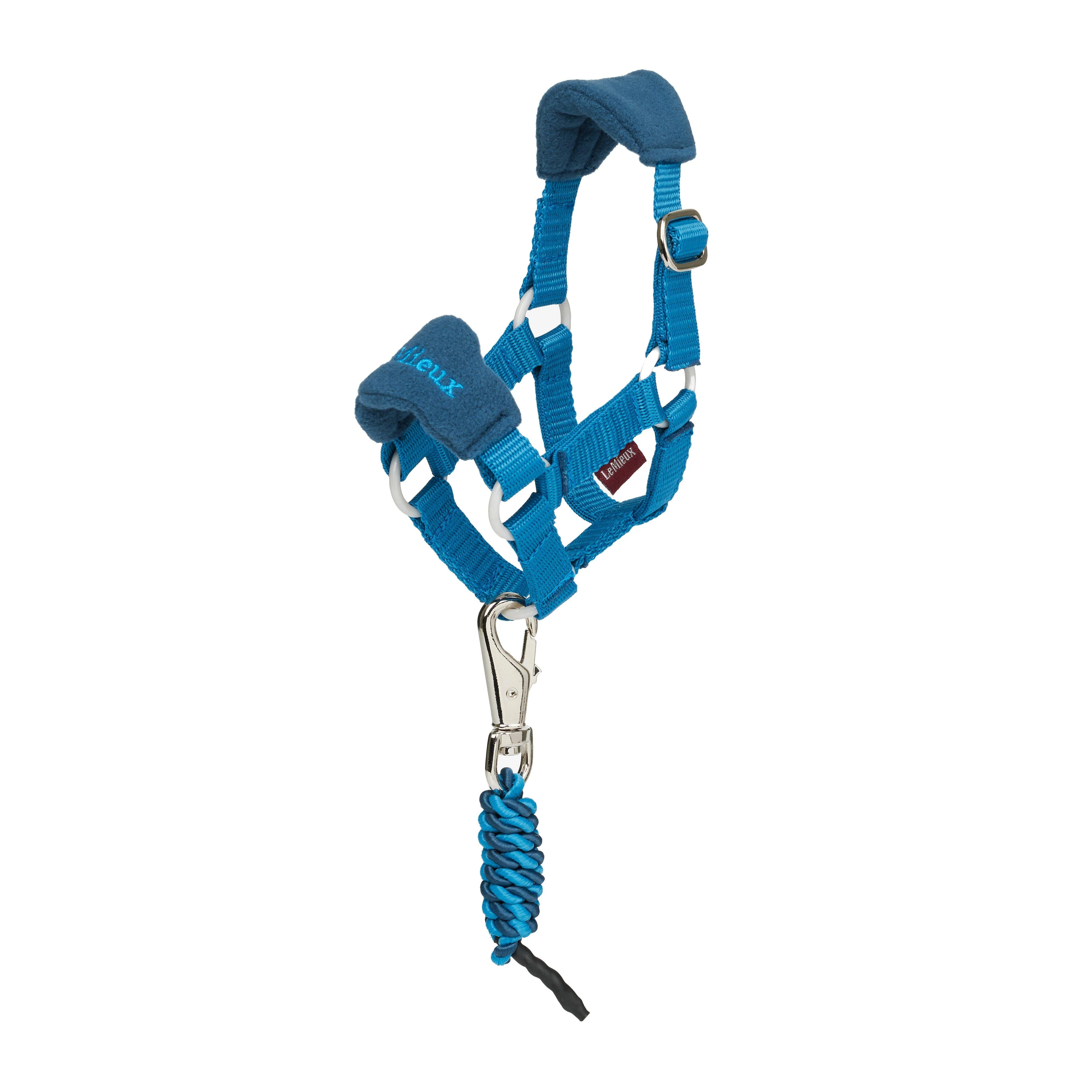 Mini Toy Pony Headcollar Pacific - Image 4