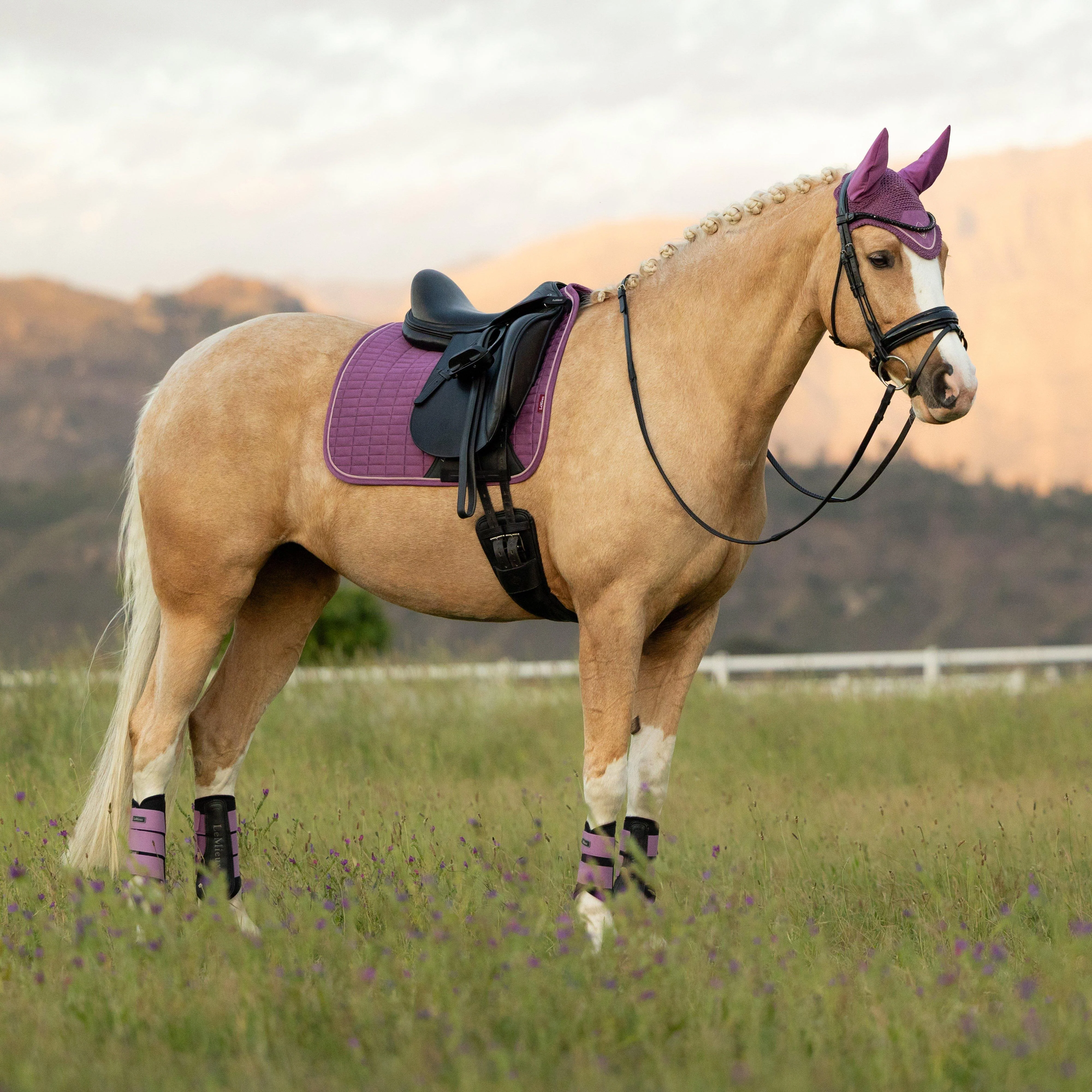 Suede Dressage Saddle Pad Mallow - Image 3