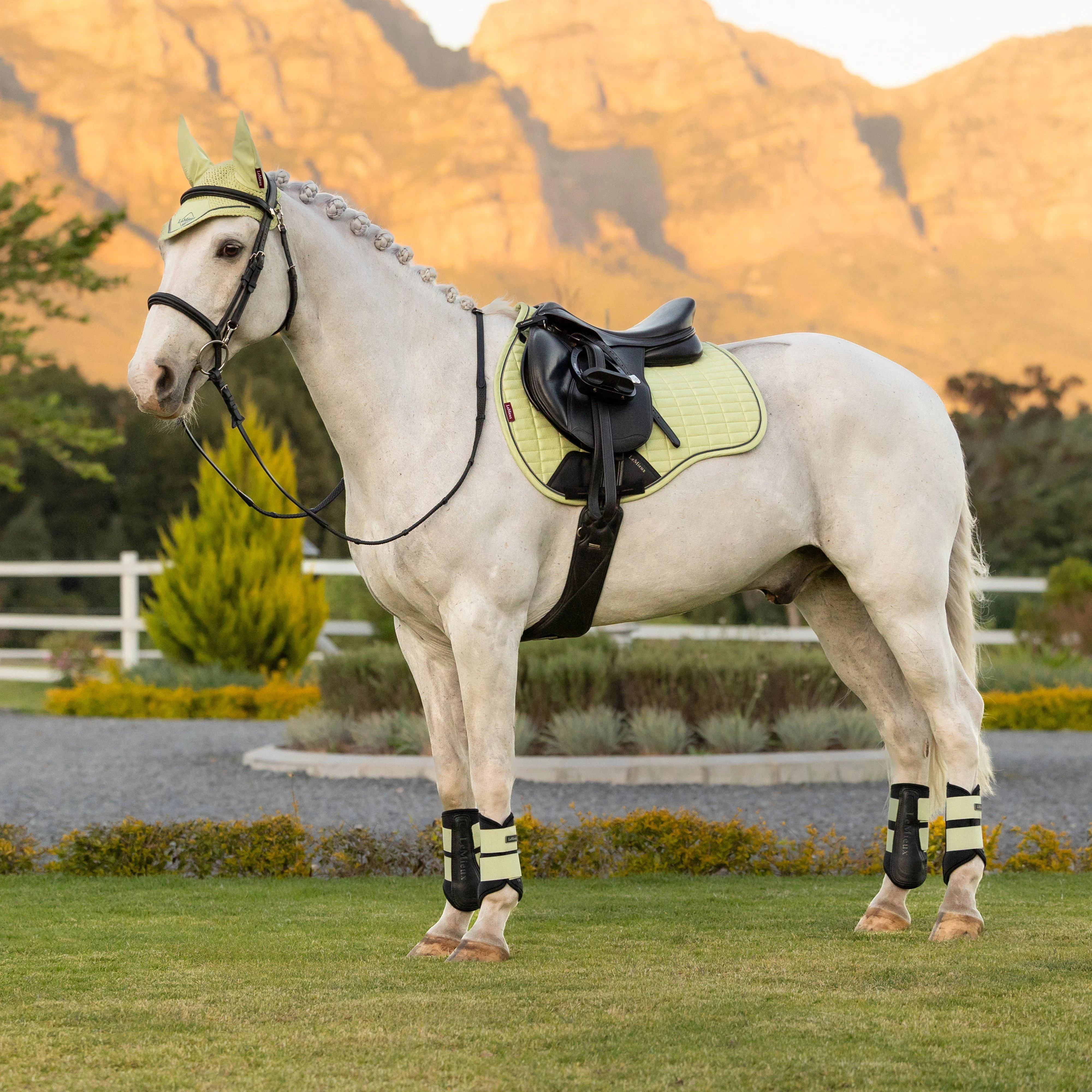 Suede GP Saddle Pad Macaron - Image 4