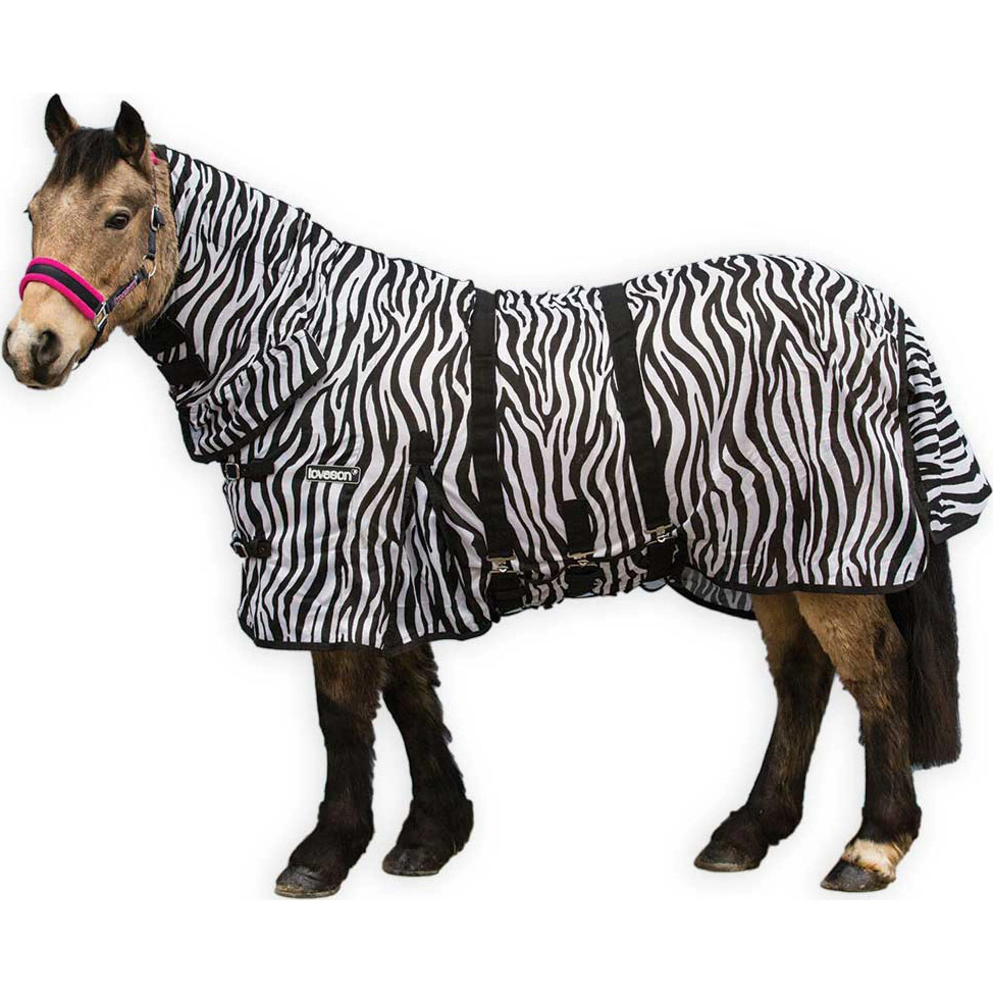 Zebra Fly Rug - Image 2