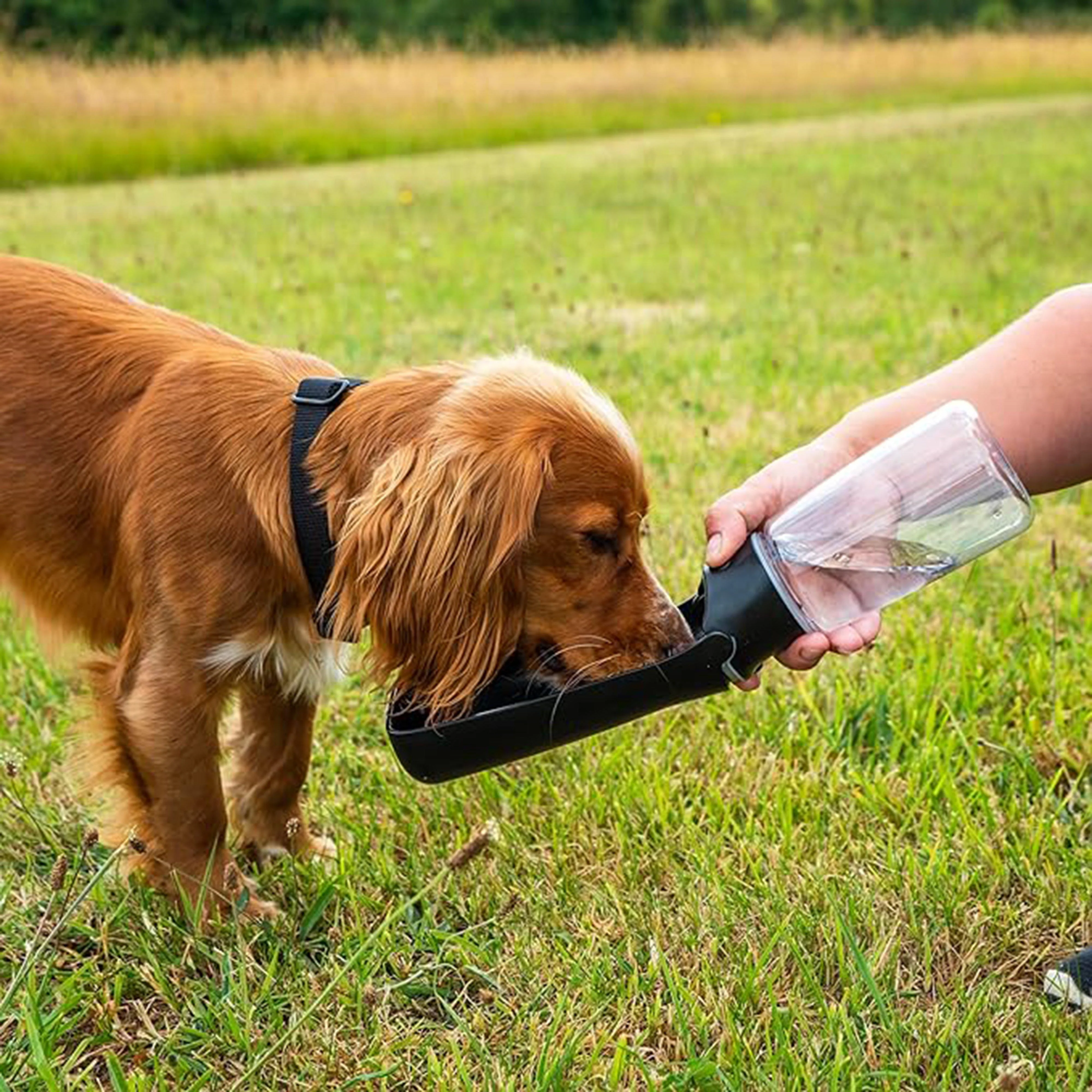 Dog Water Bottle Black - Image 4