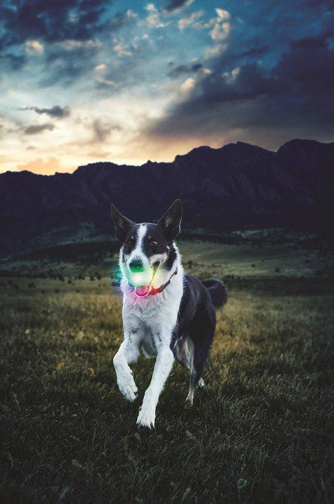 Glowstreak® Wild™ LED Ball Disc-o - Image 2