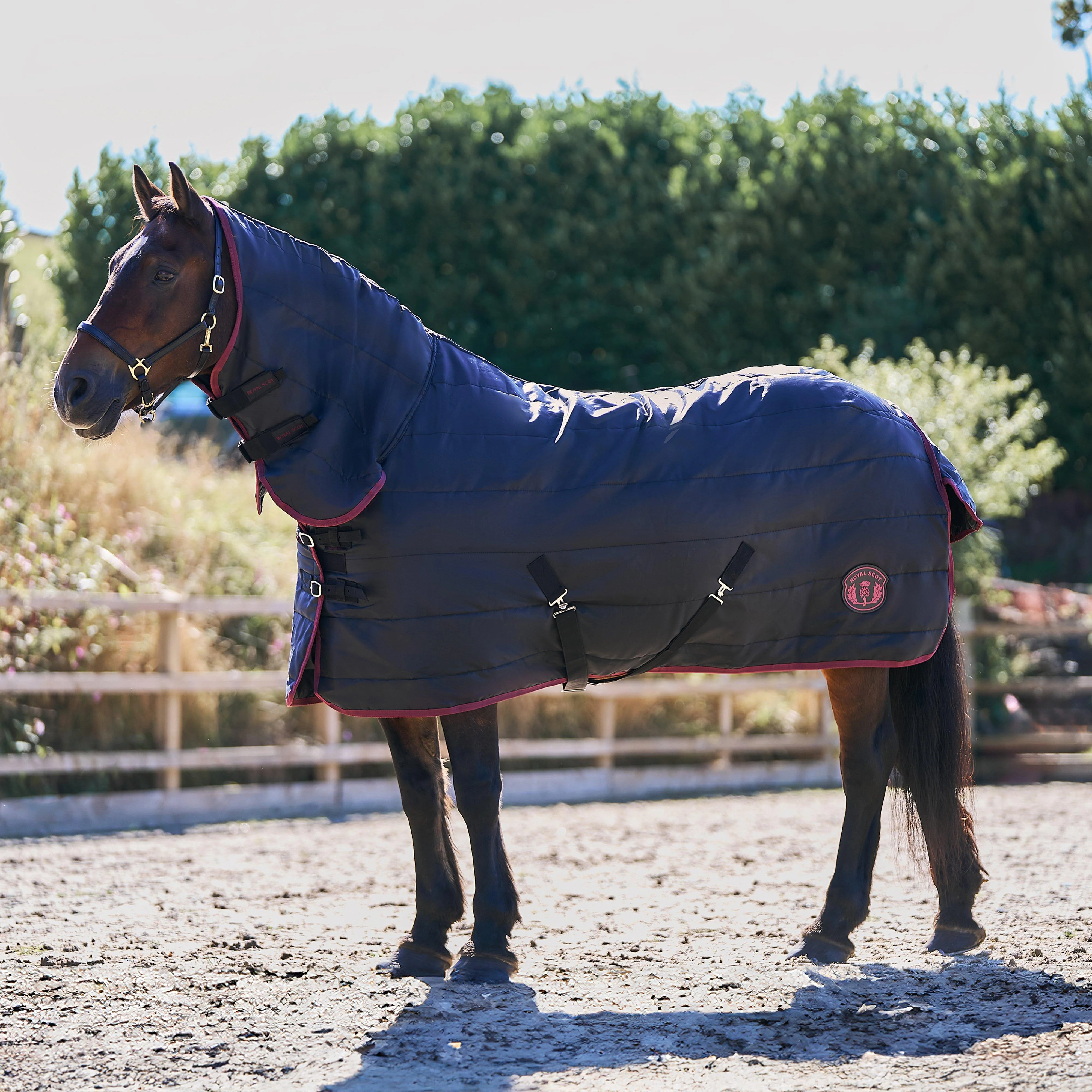 Original 100g Combo Neck Stable Rug Black/Wine - Image 7