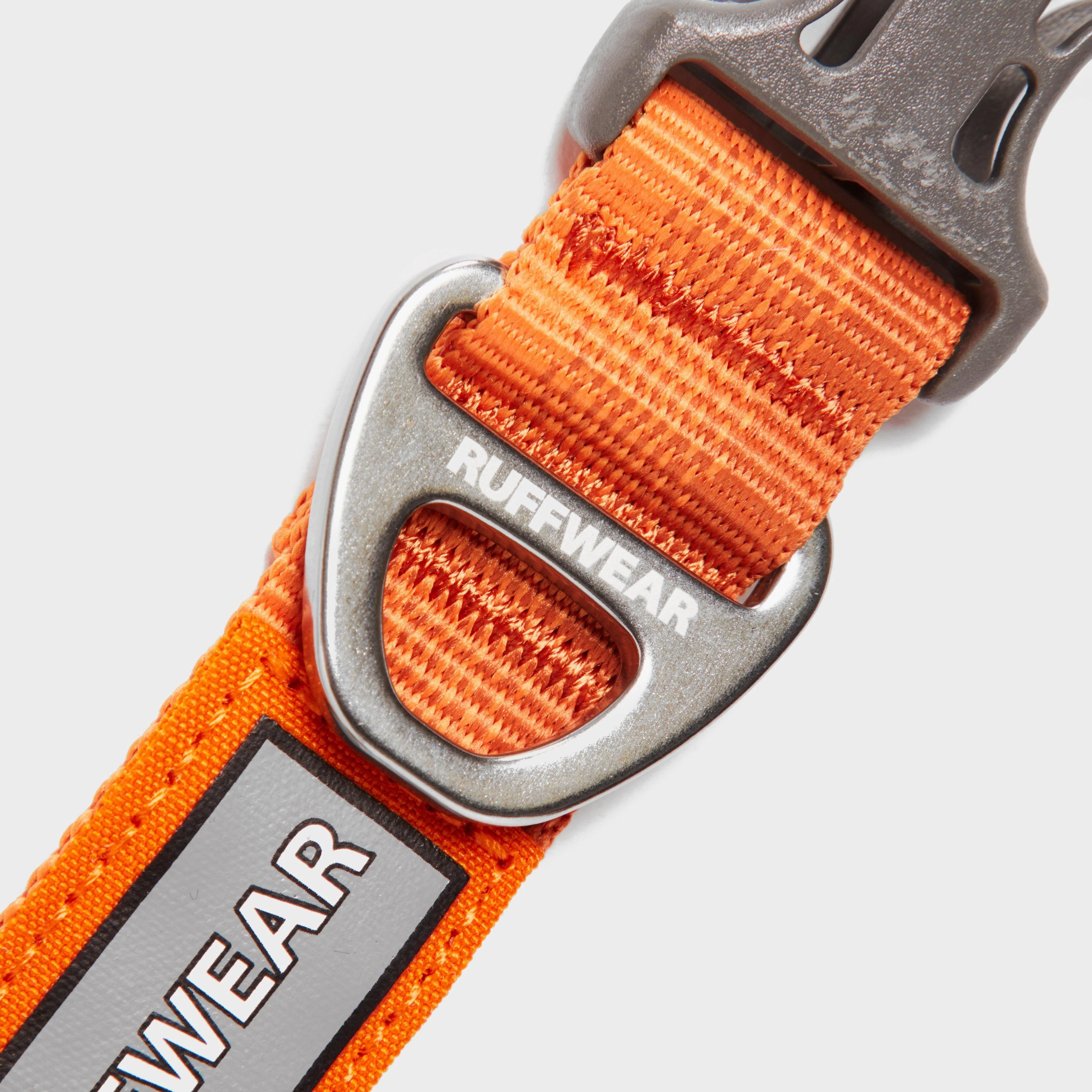 Front Range Dog Collar Orange - Image 3