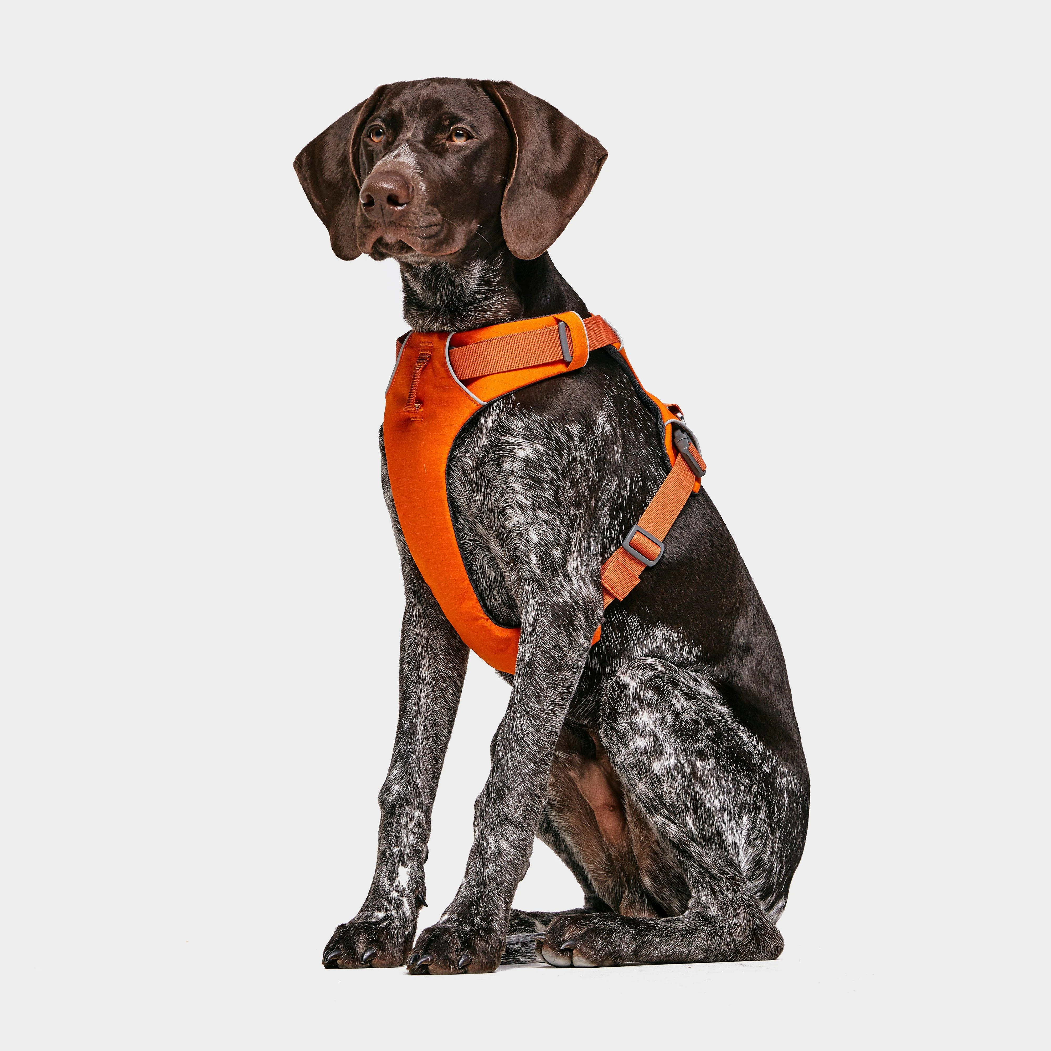Front Range Dog Harness Orange - Image 3