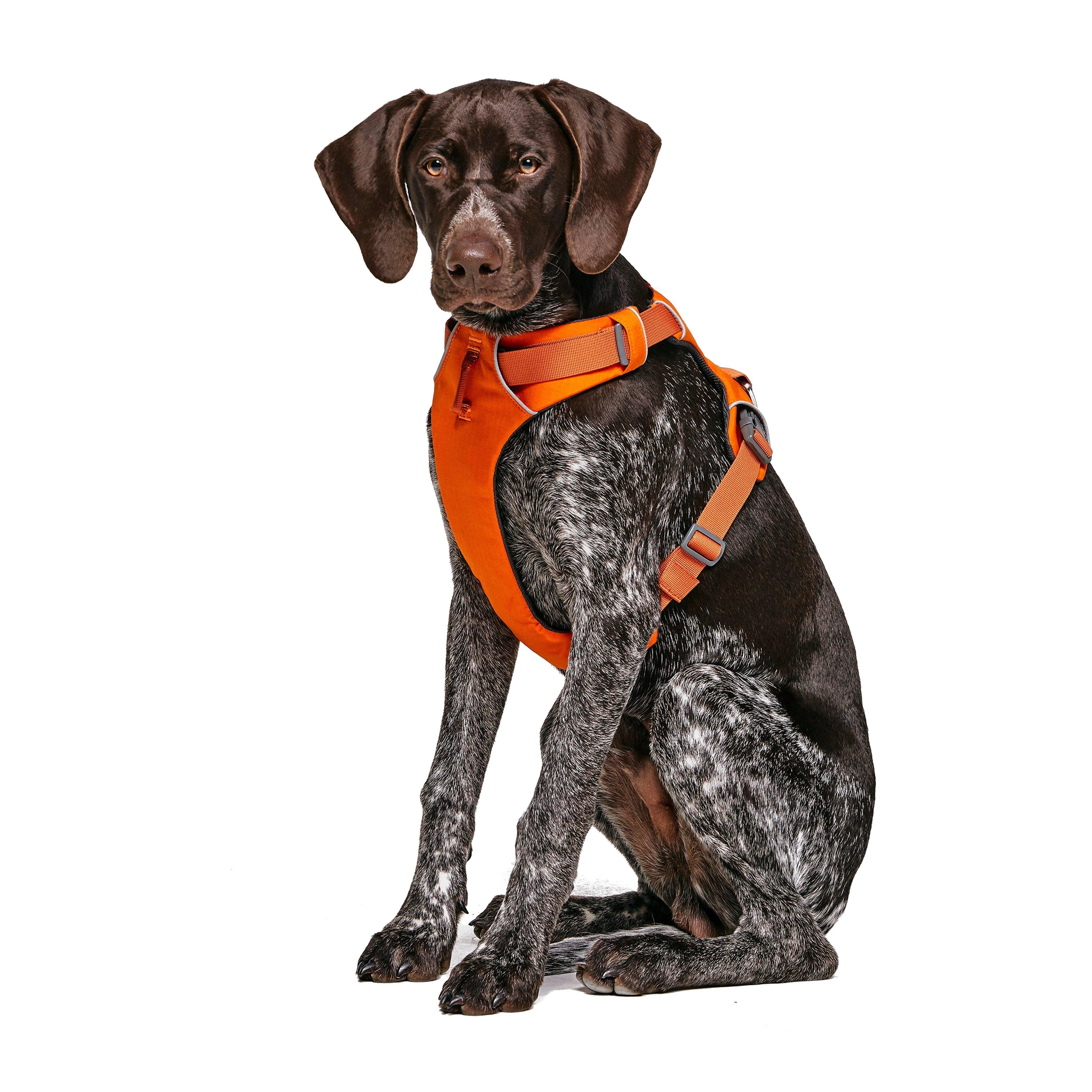 Front Range Dog Harness Orange - Image 7