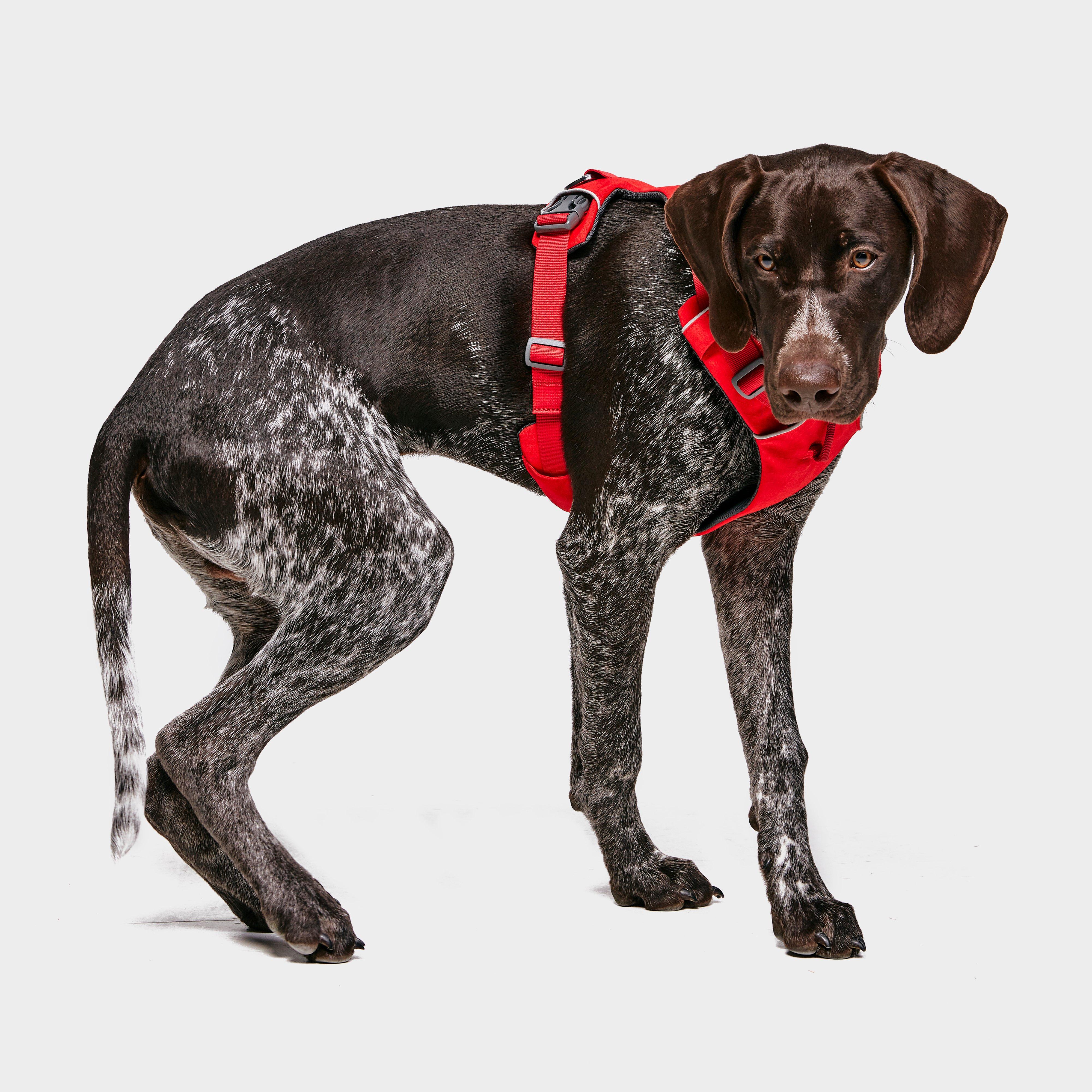 Front Range Dog Harness Red - Image 2