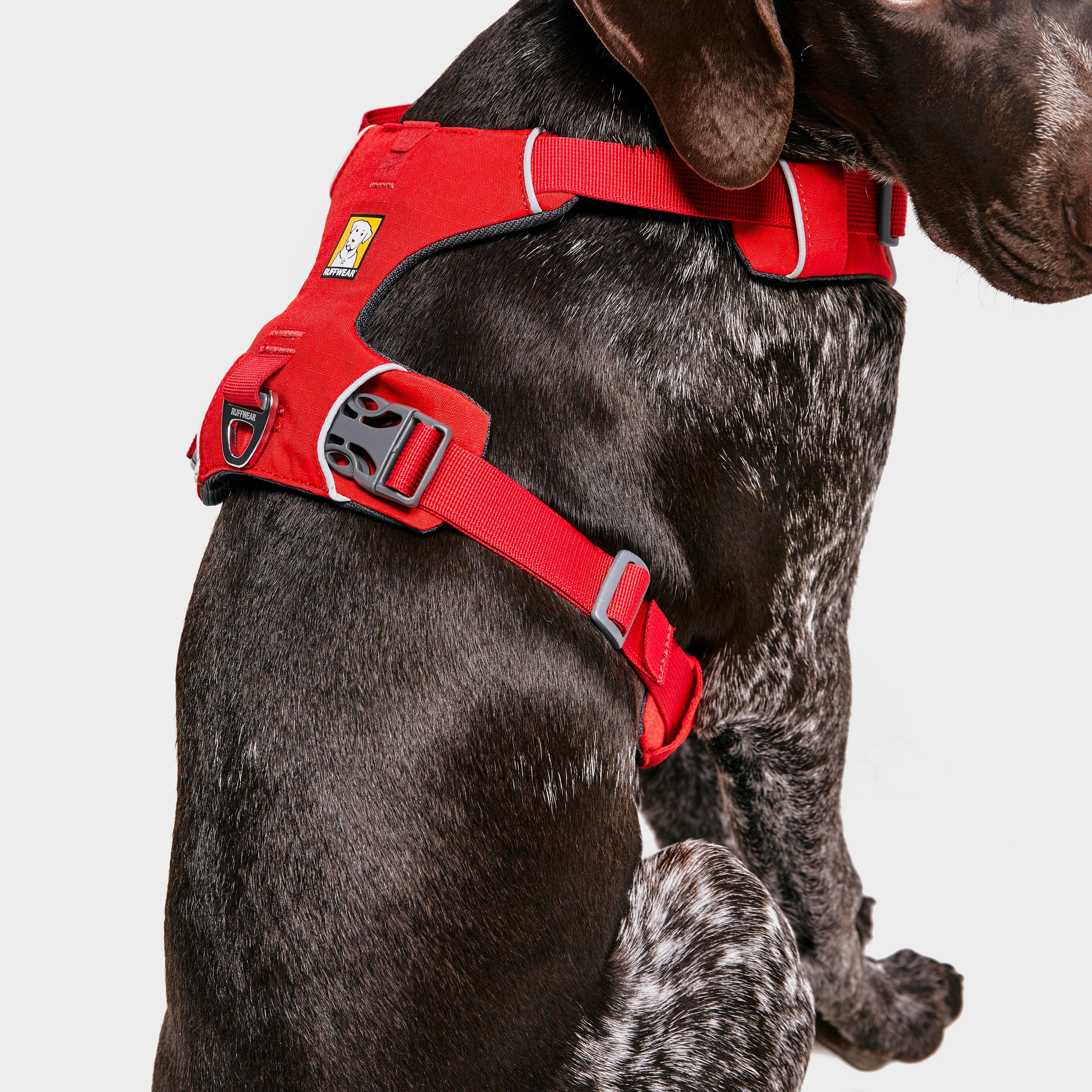 Front Range Dog Harness Red - Image 4