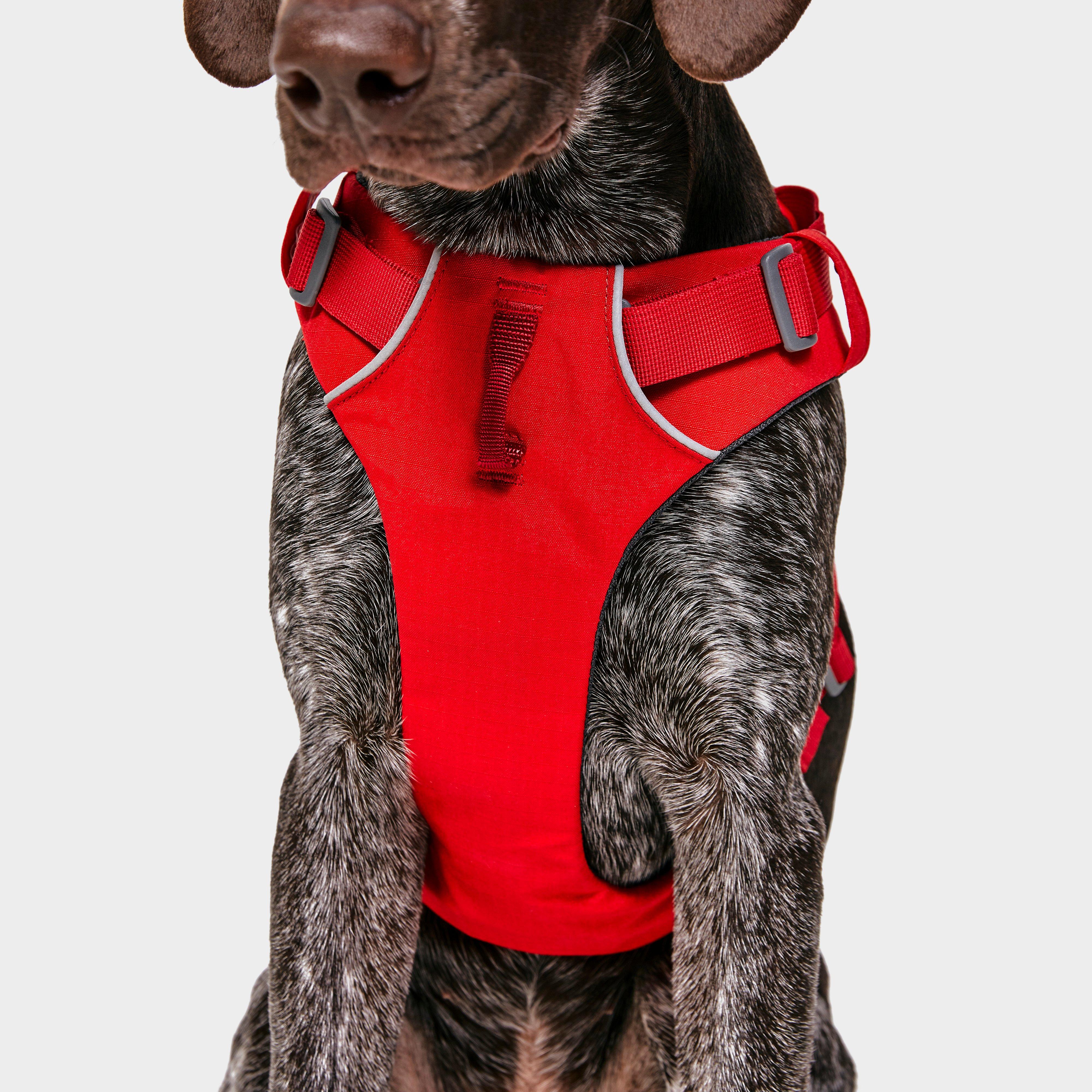Front Range Dog Harness Red - Image 5
