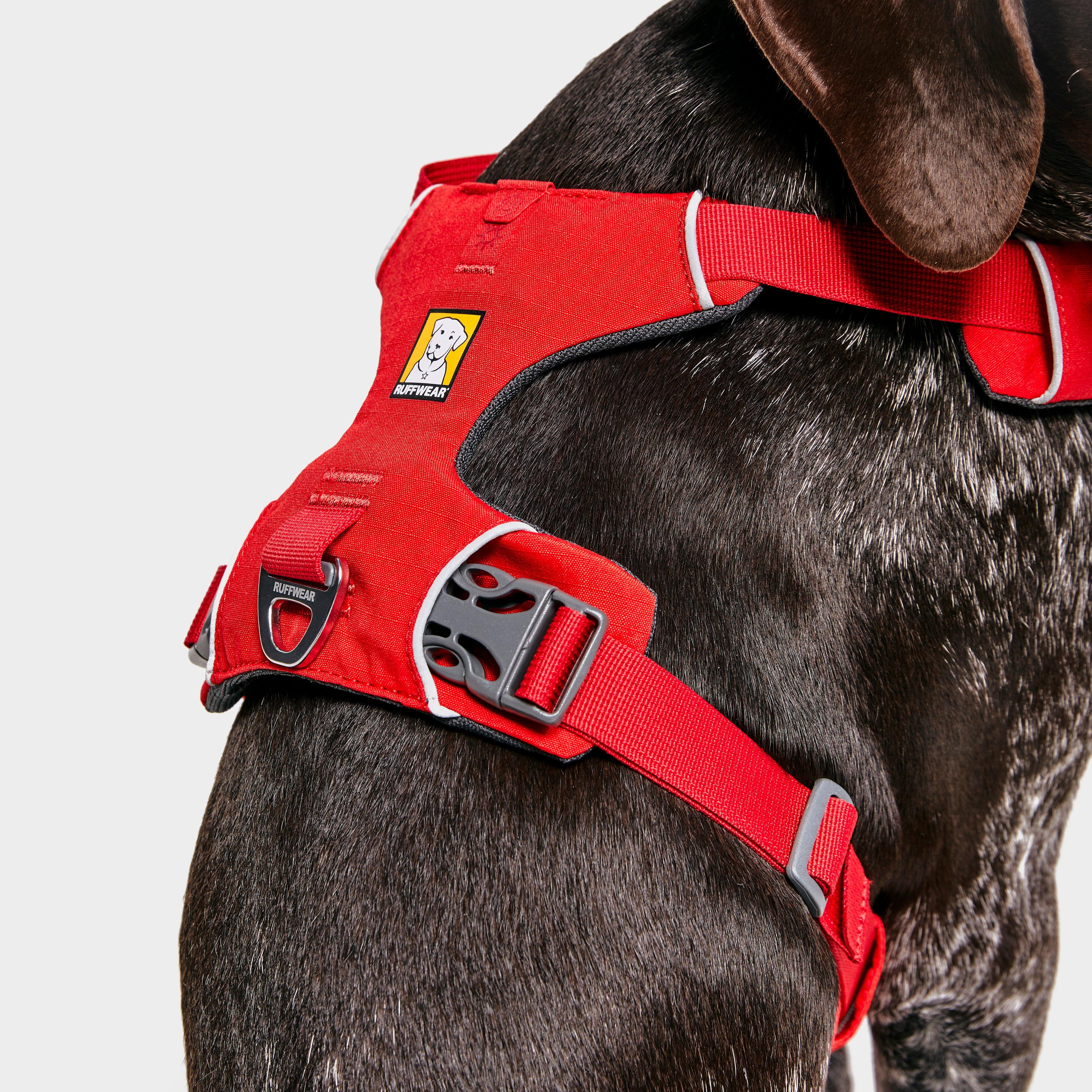 Front Range Dog Harness Red - Image 6