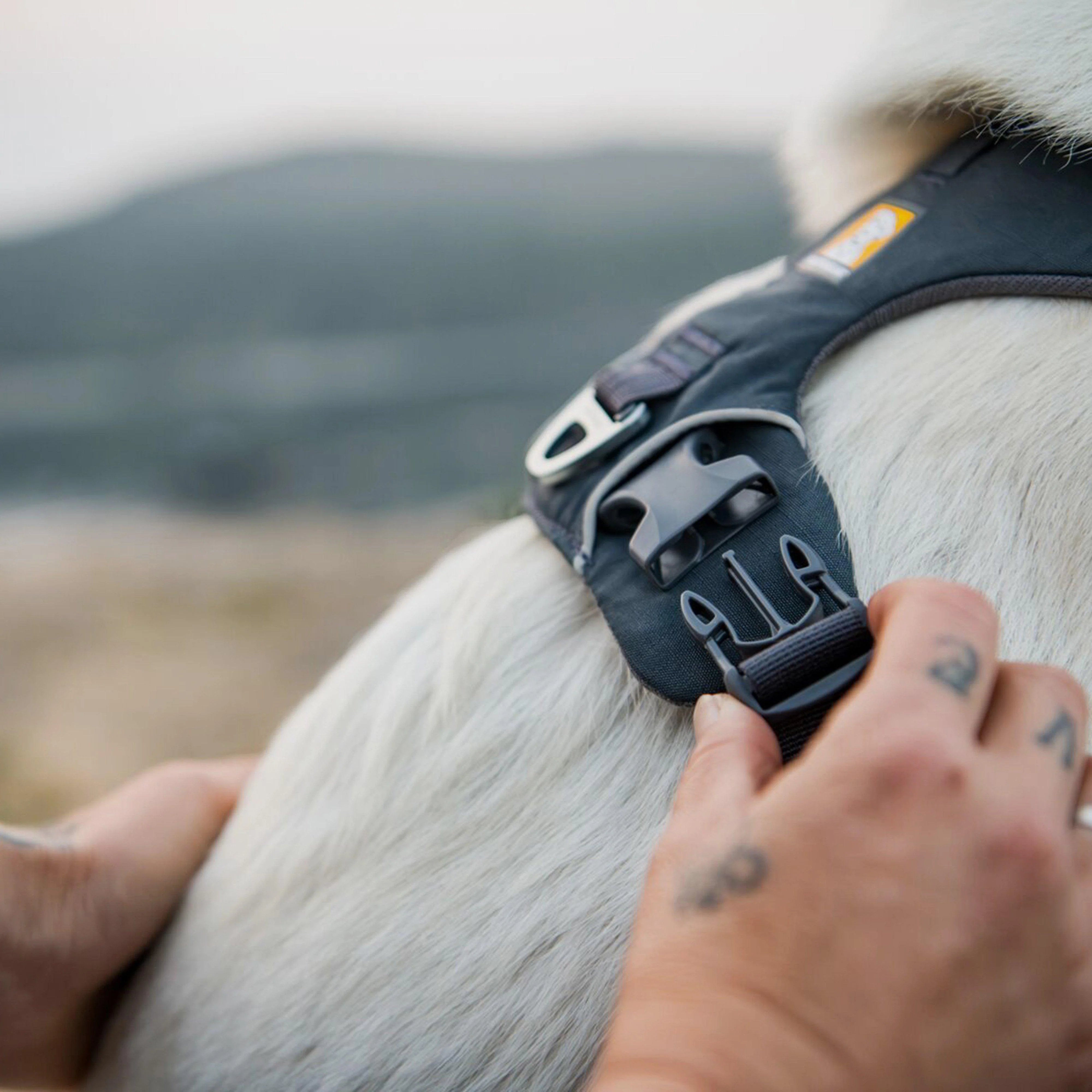 Front Range Dog Harness Red Sumac - Image 8