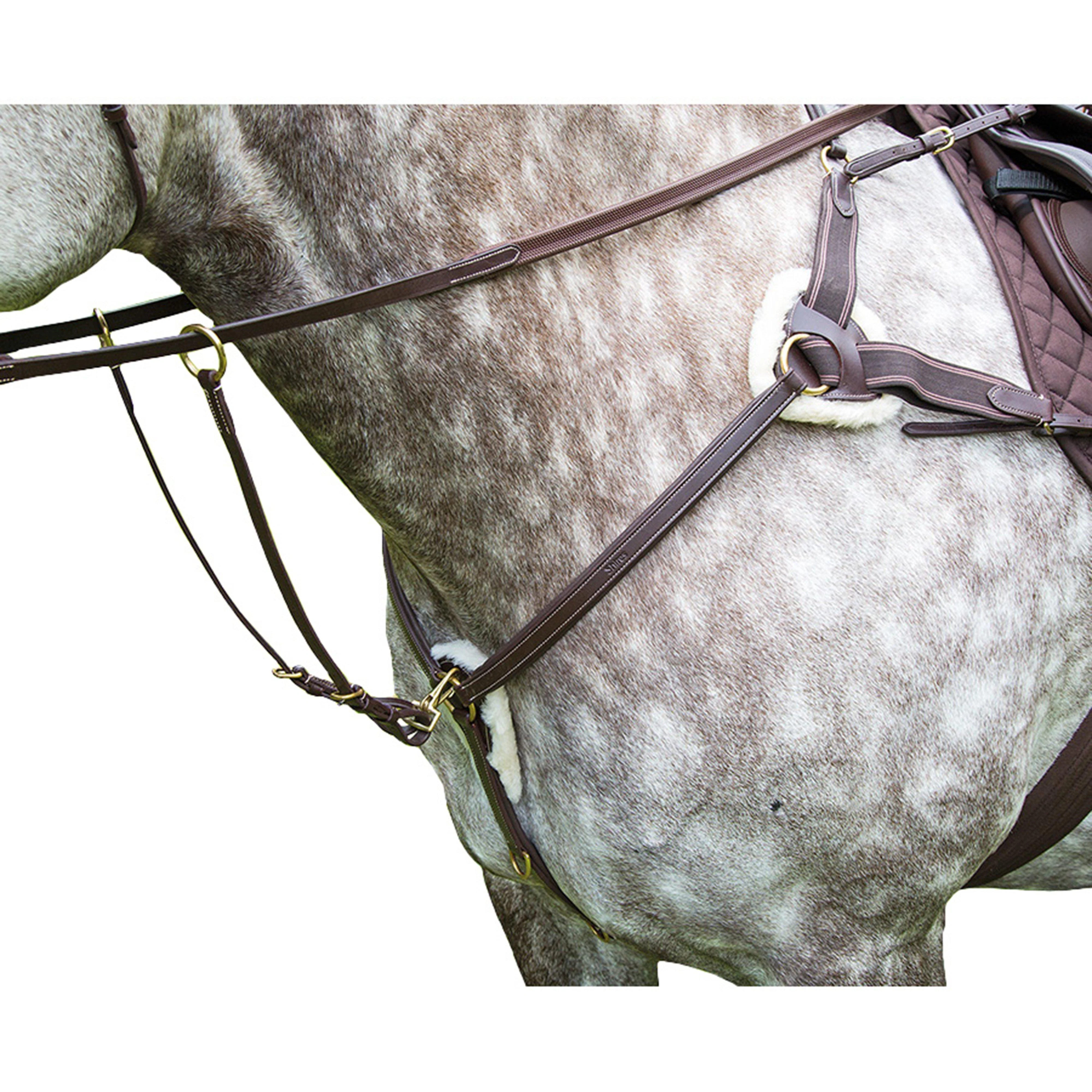 5 Point Breastplate Havana - Image 2