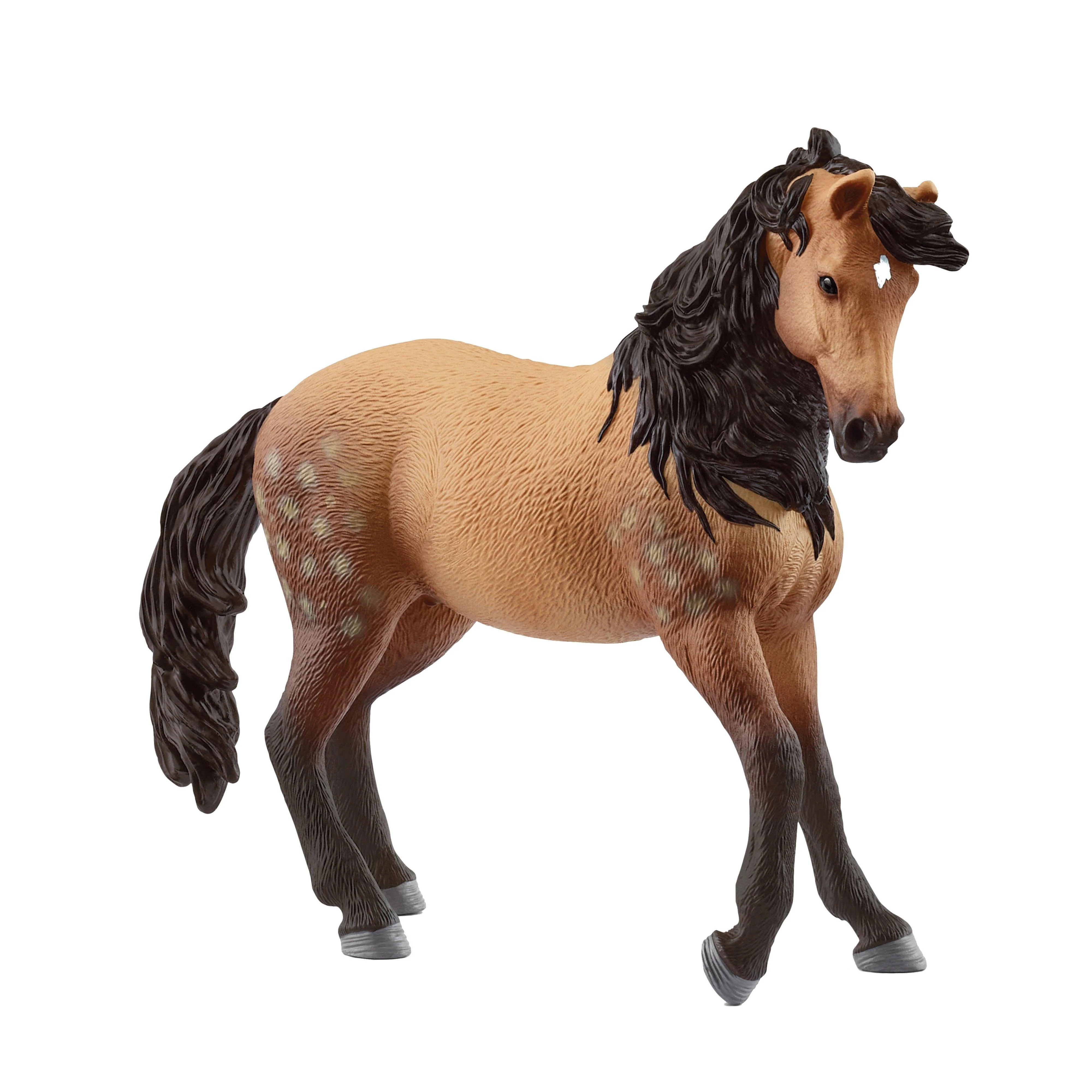 Andalusian Mare - Image 3