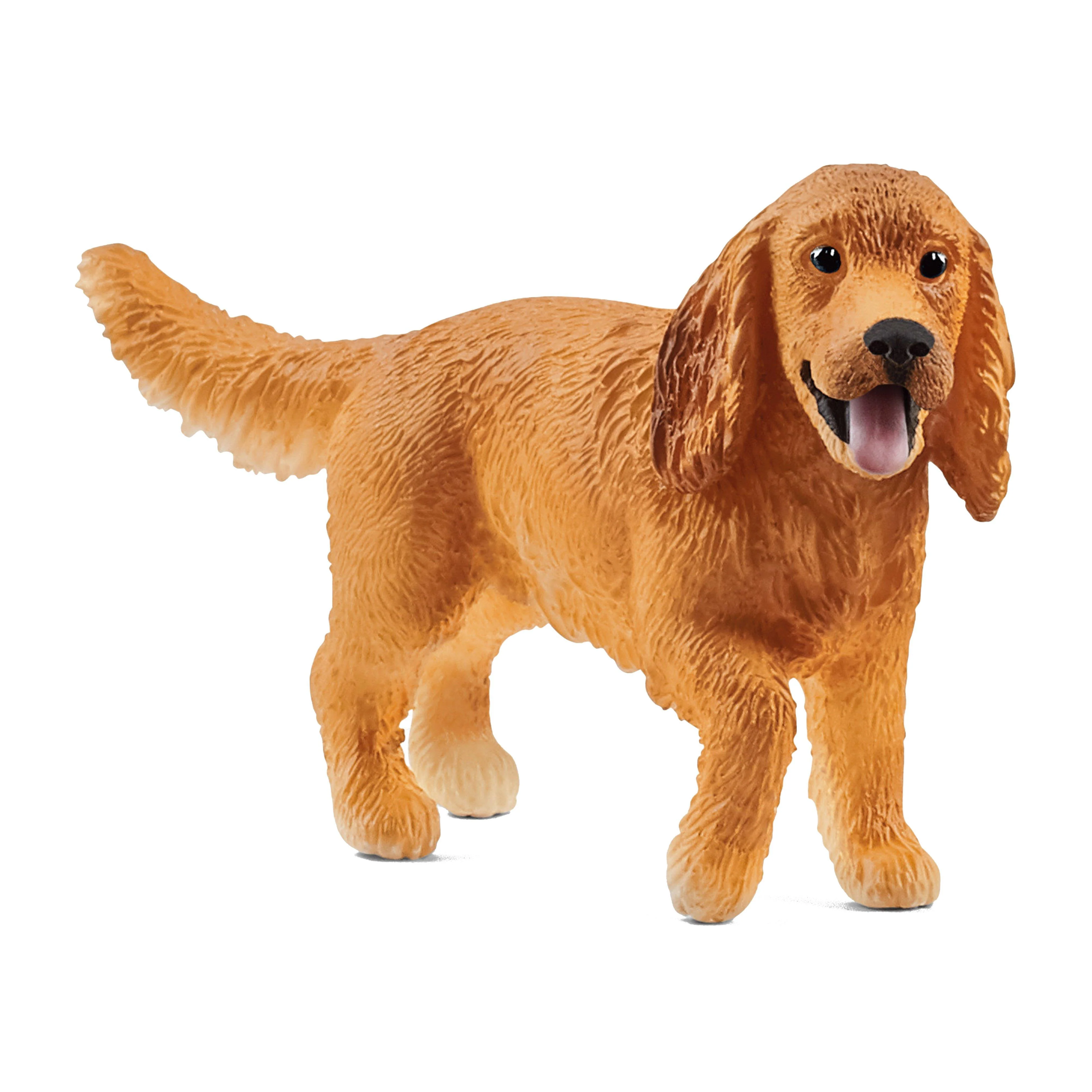 English Cocker Spaniel - Image 2