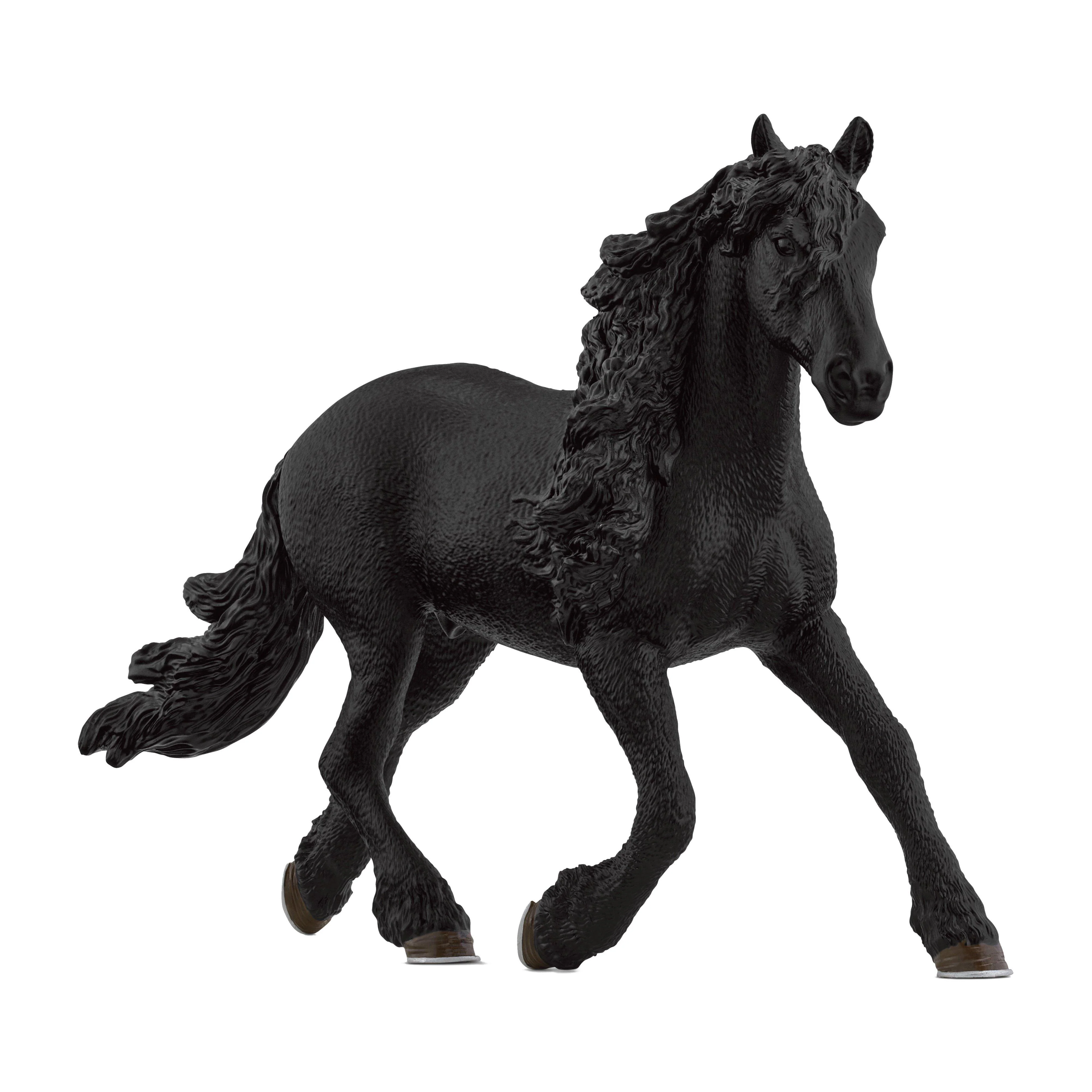 Friesian Stallion - Image 3
