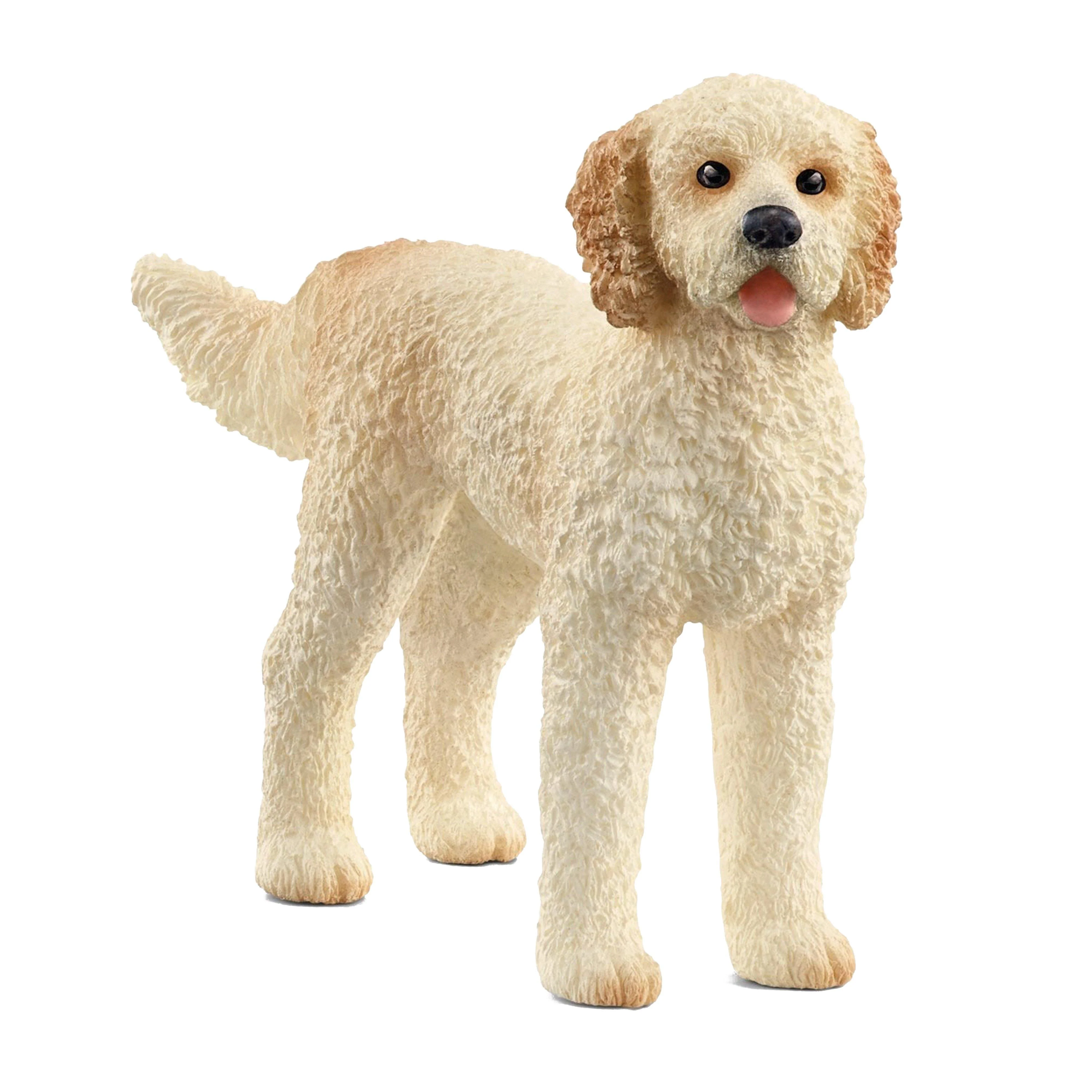 Goldendoodle - Image 2