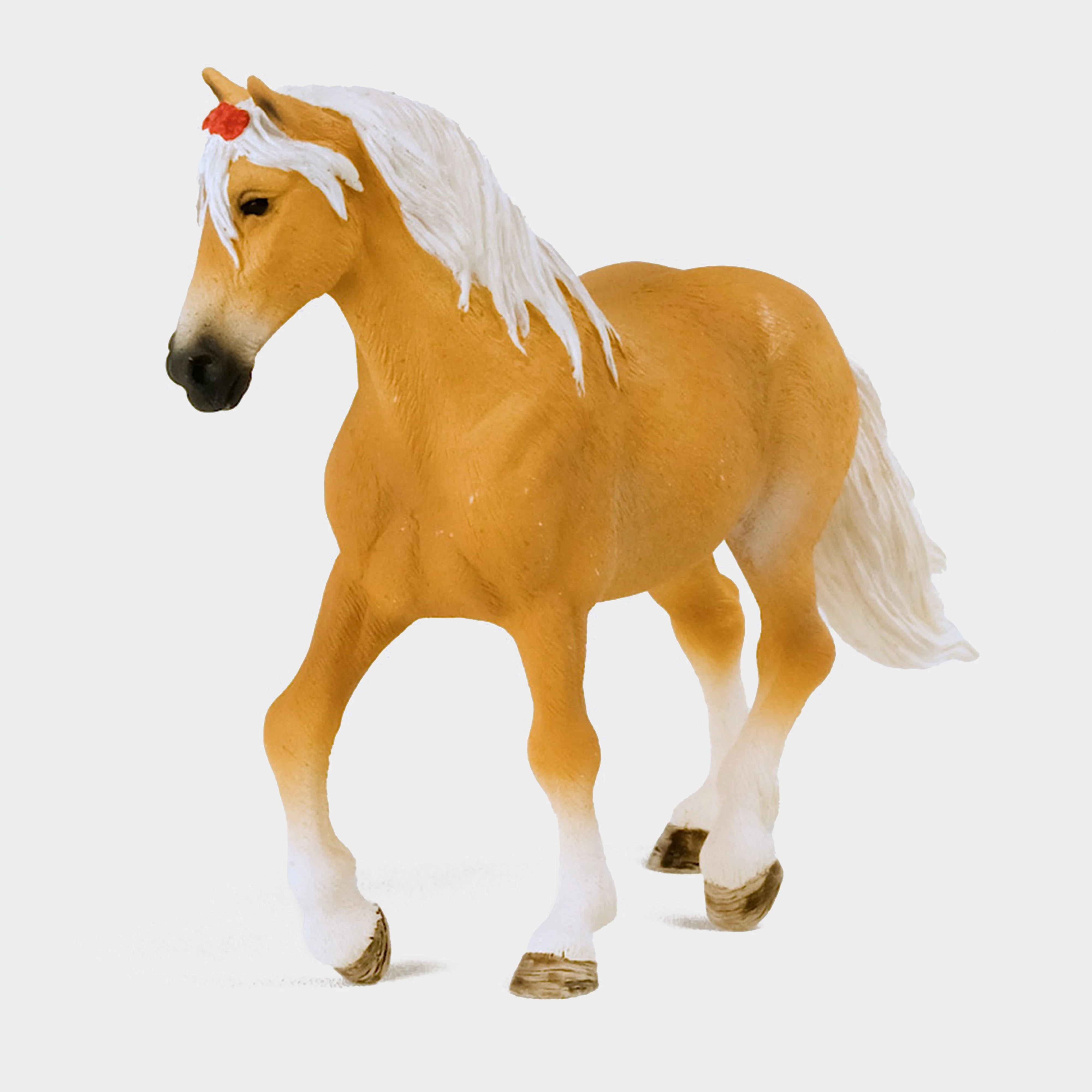Haflinger Mare - Image 3