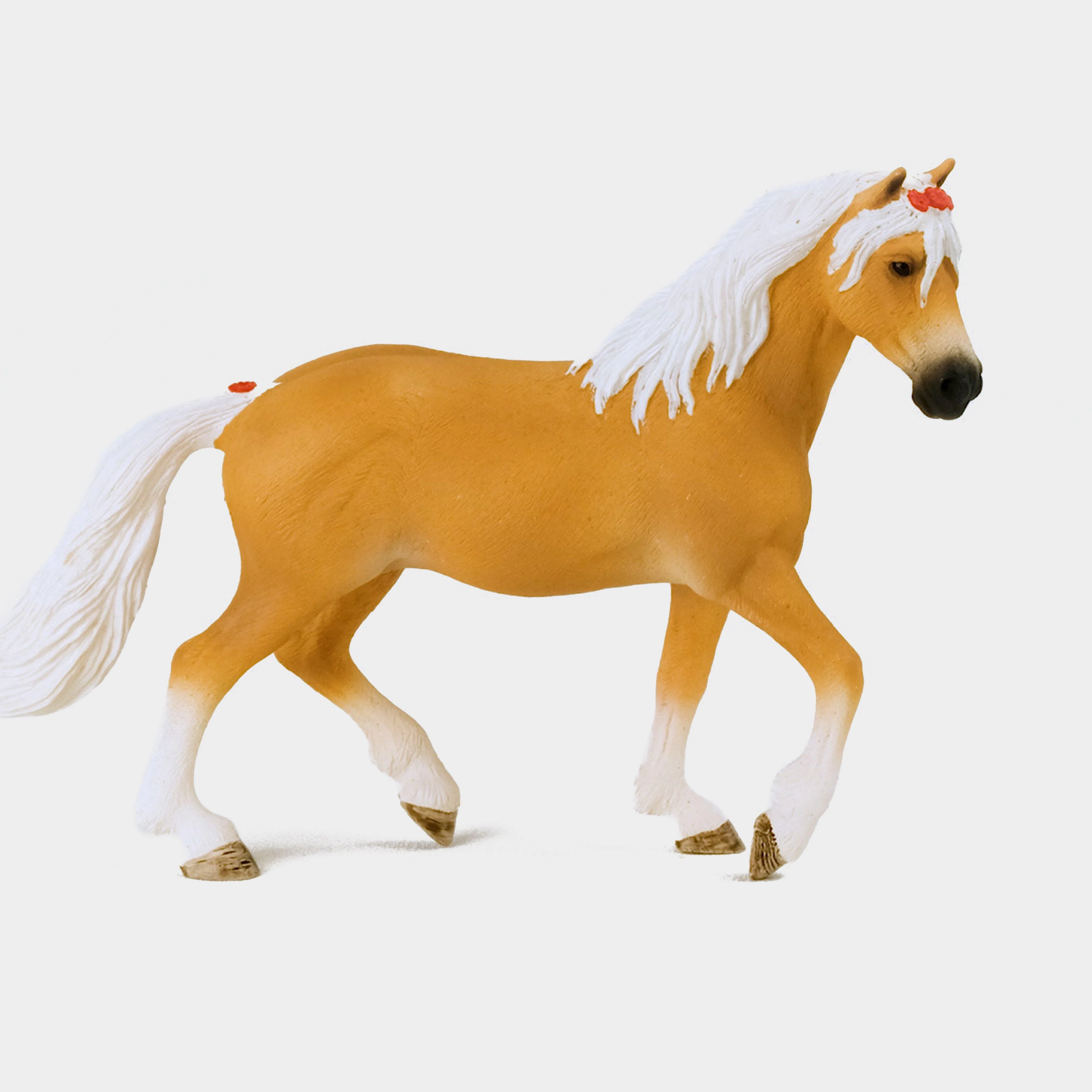 Haflinger Mare - Image 4