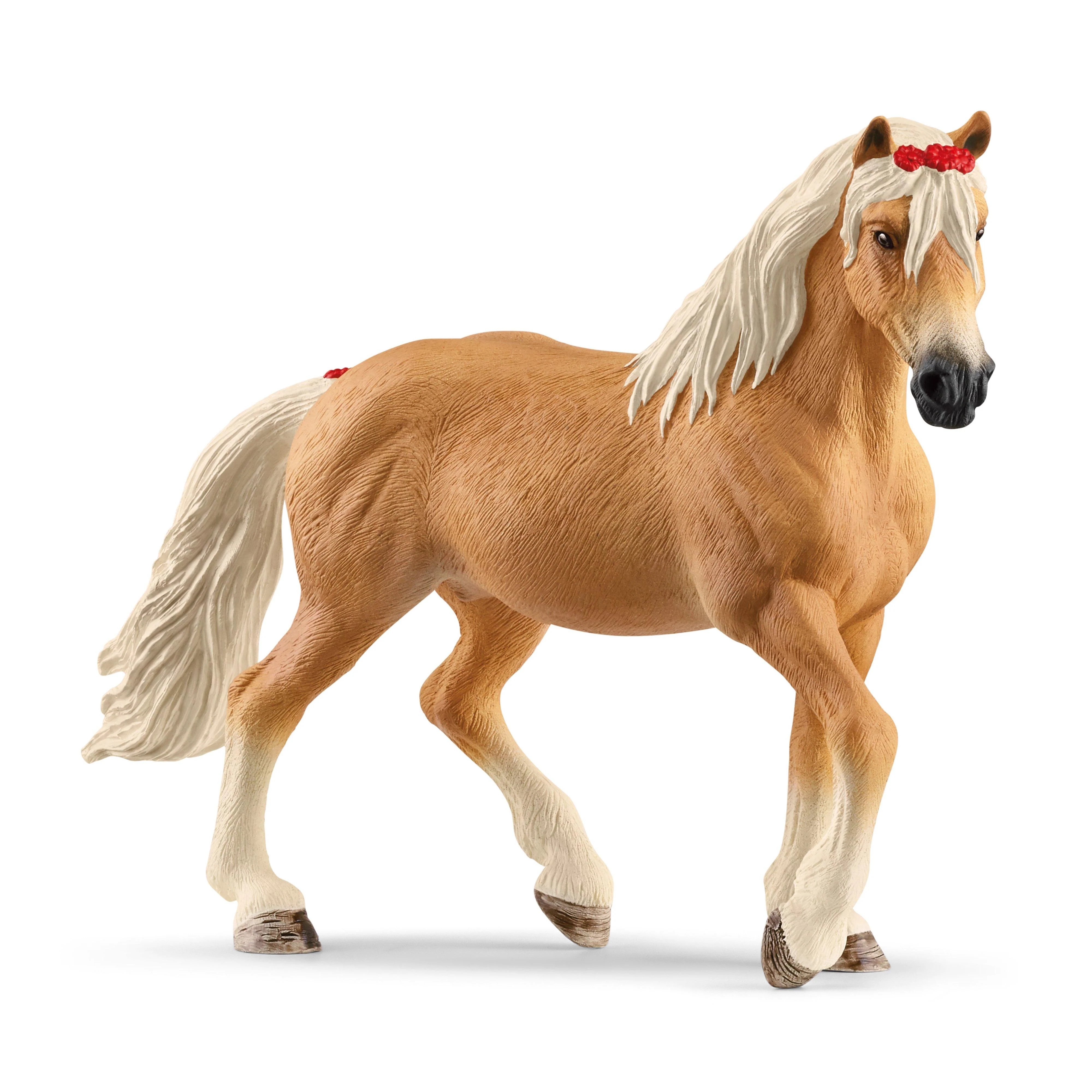 Haflinger Mare - Image 7