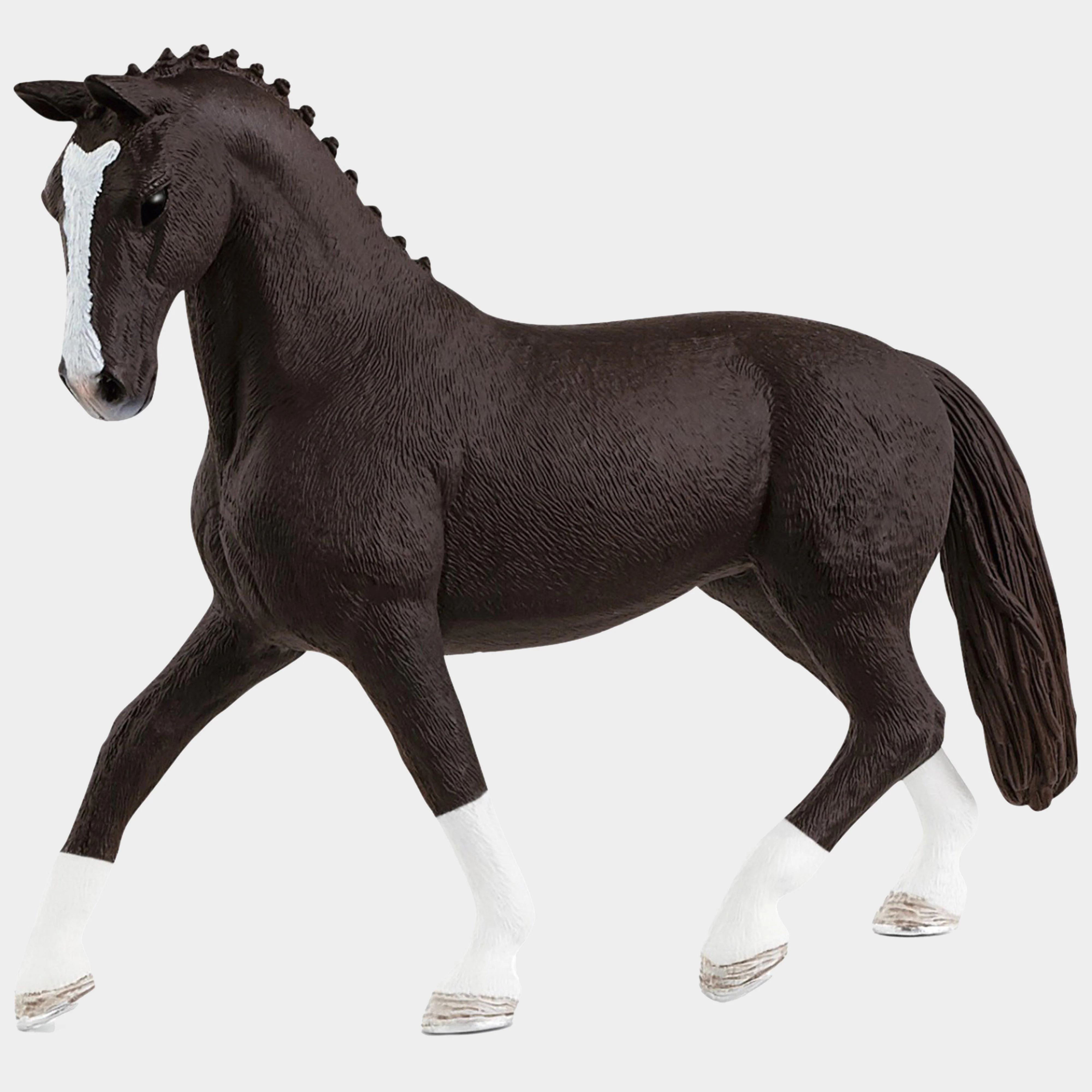 Hannoverian Mare 2021