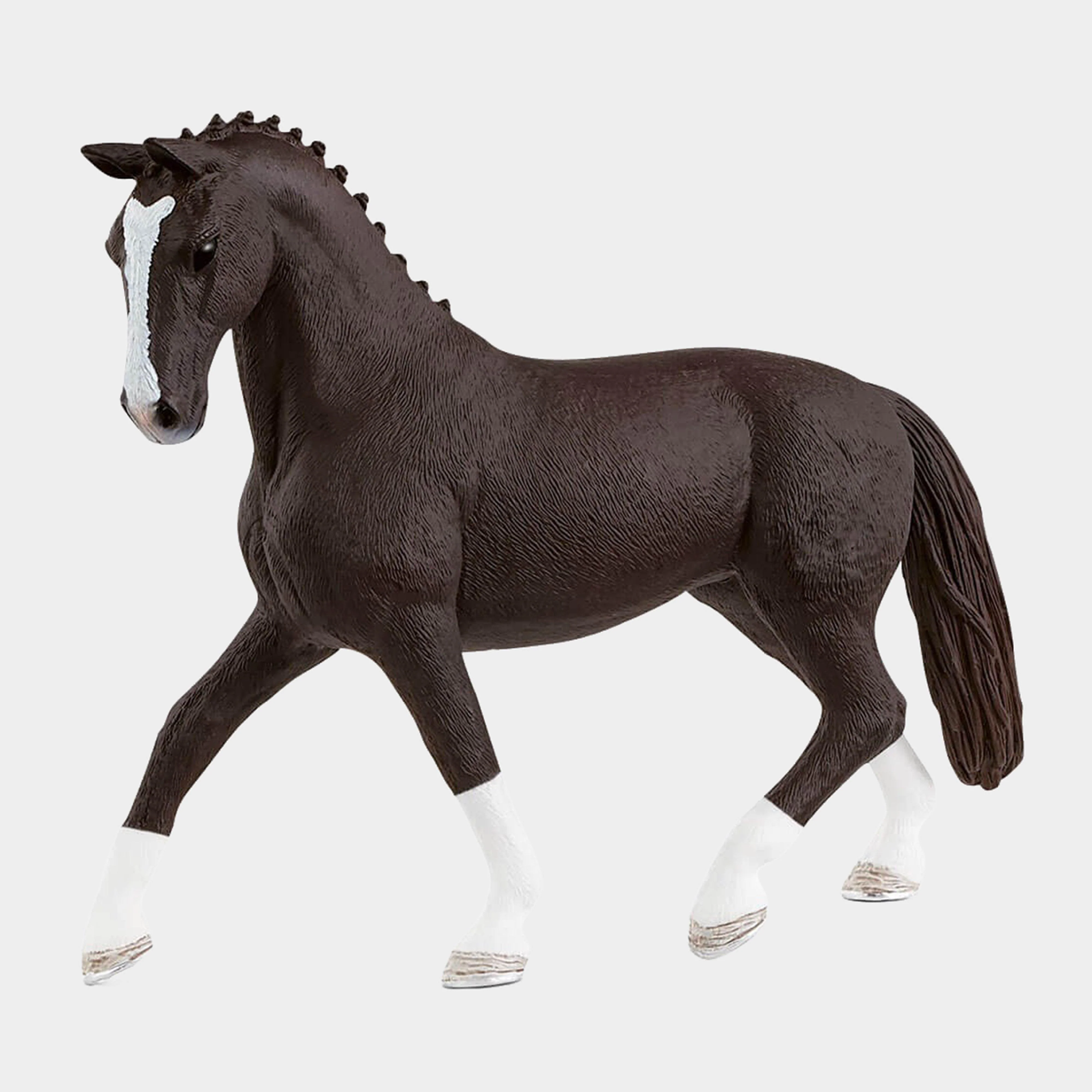 Hanoverian Mare