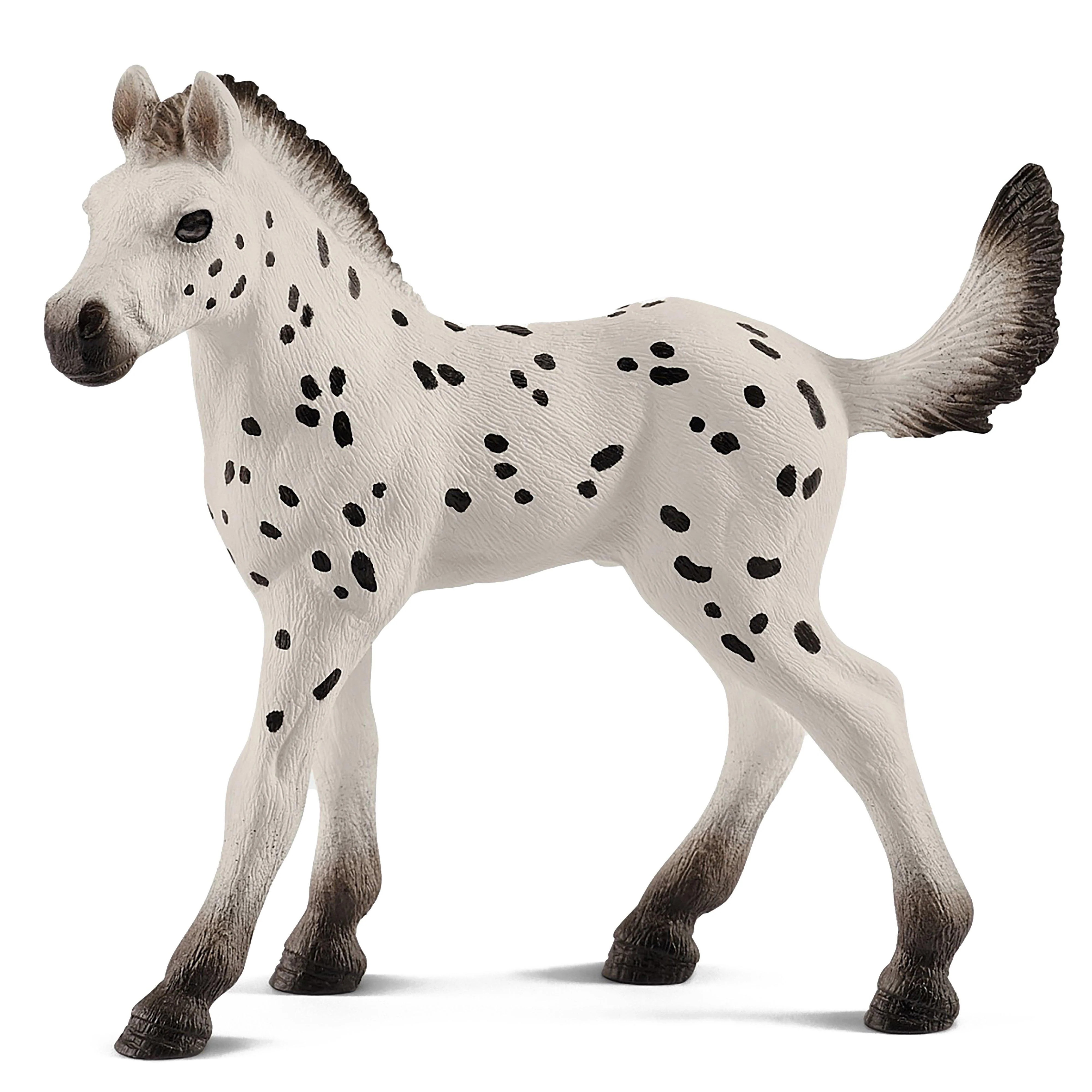 Knapstrupper Foal - Image 2